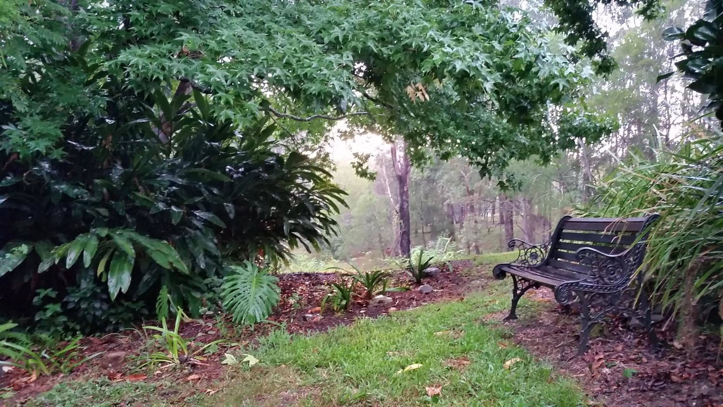 Garden view in Forest view bungalow