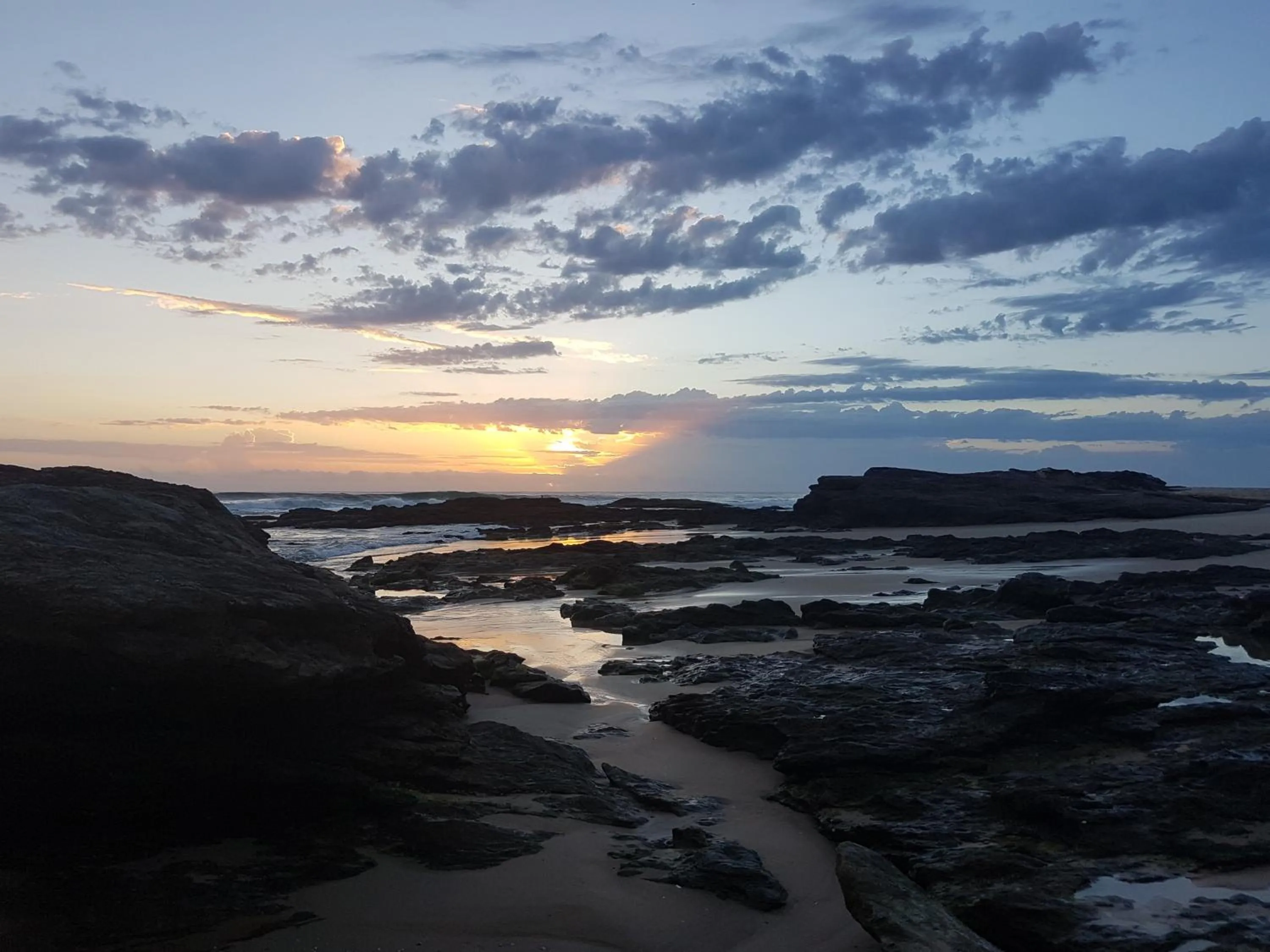 Forest view bungalow
