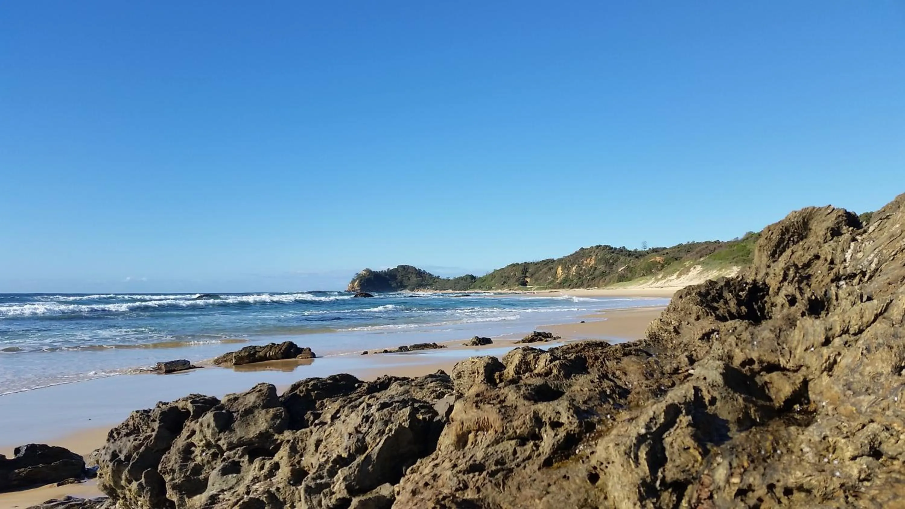 Forest view bungalow