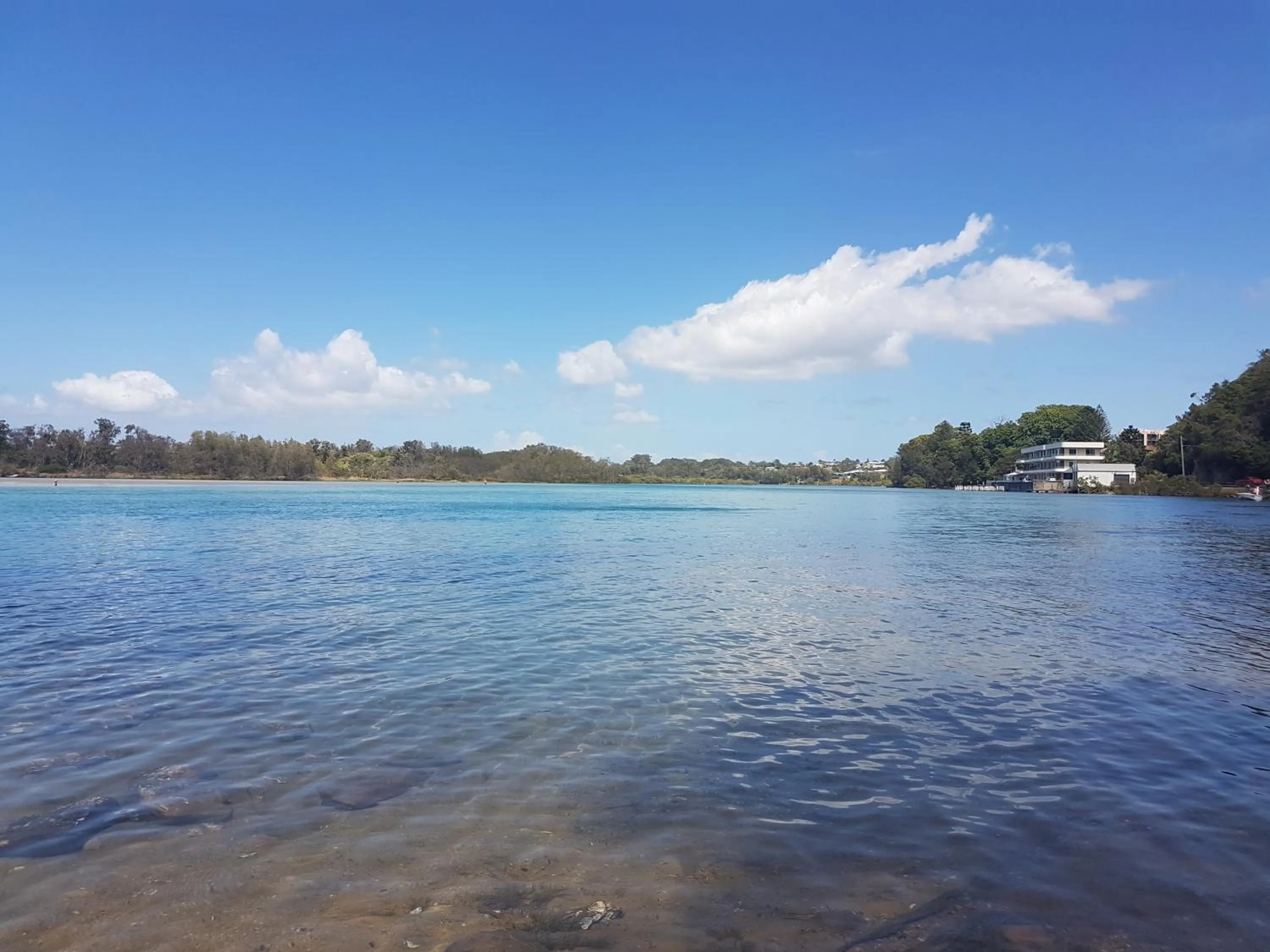 Forest view bungalow