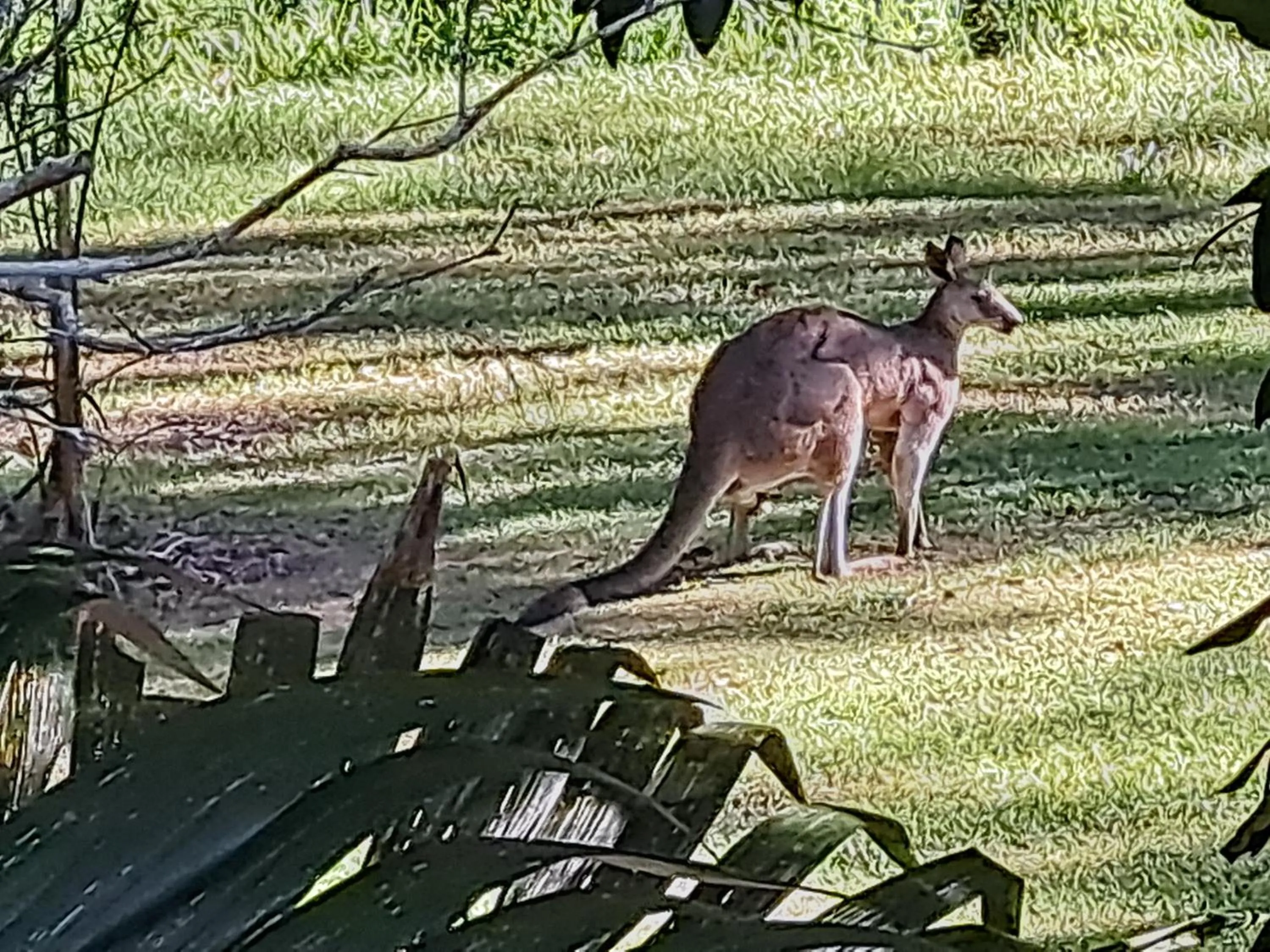 Forest view bungalow