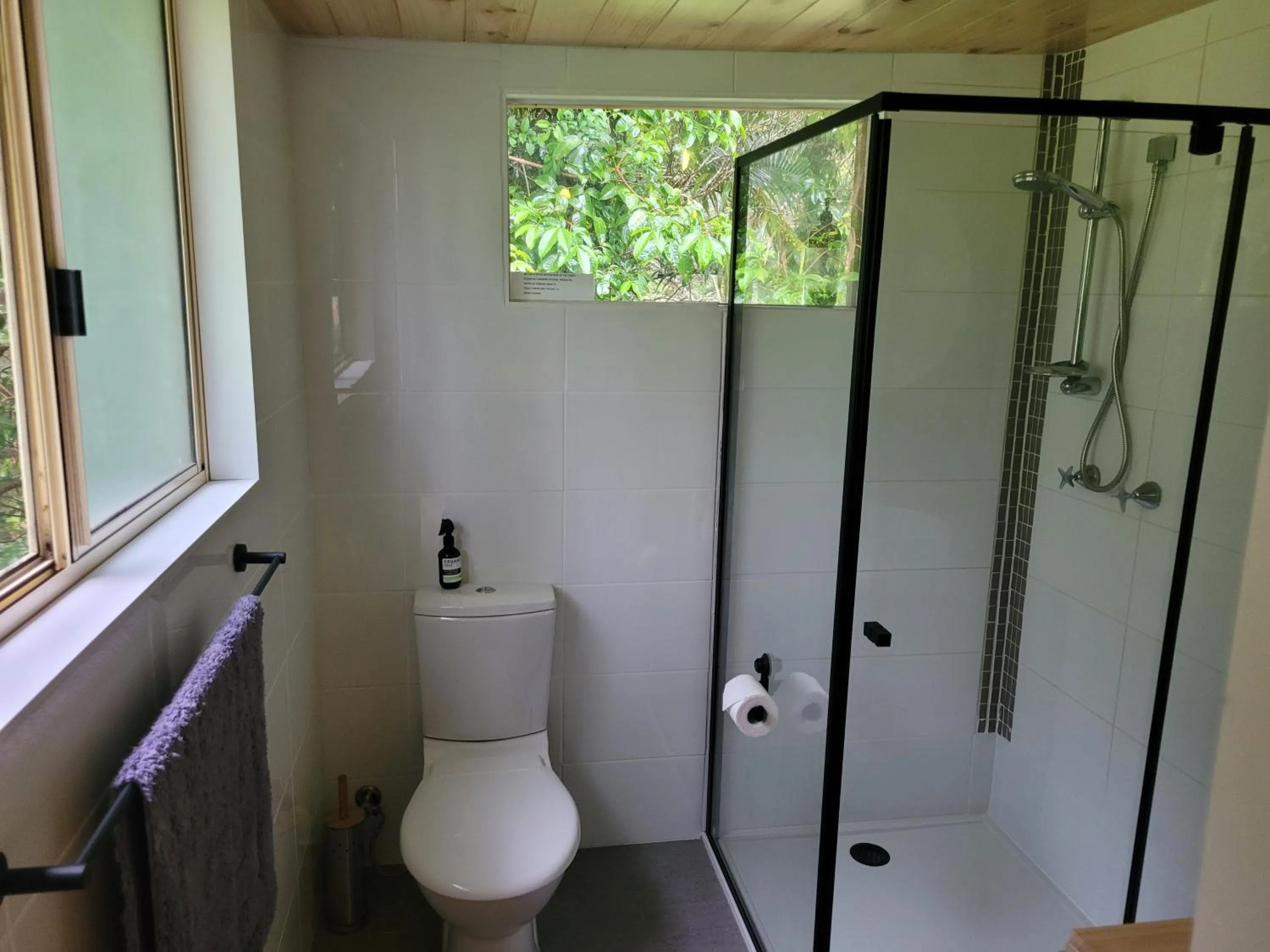 Forest view bungalow