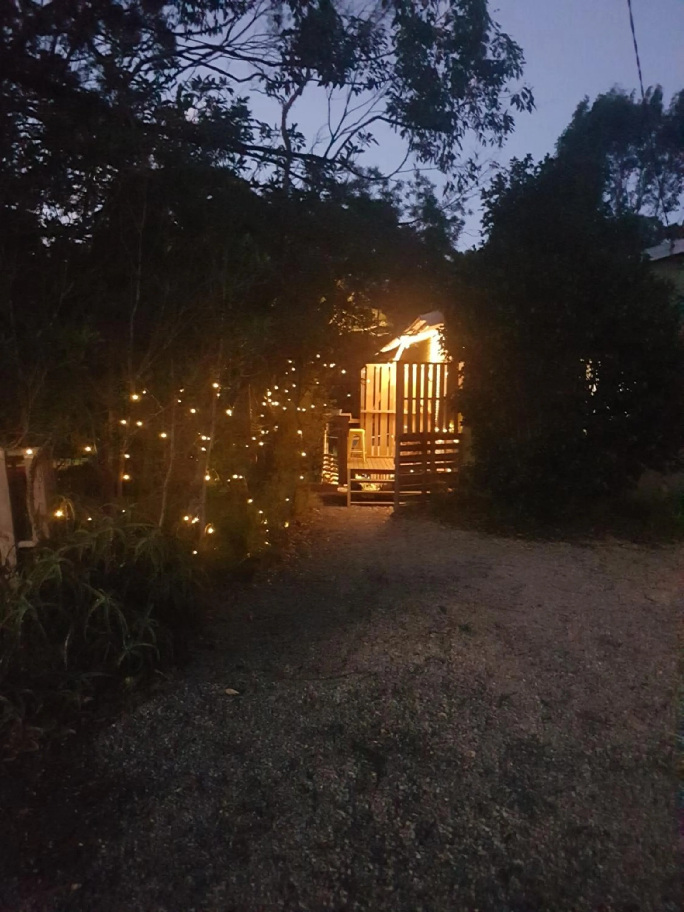 Forest view bungalow