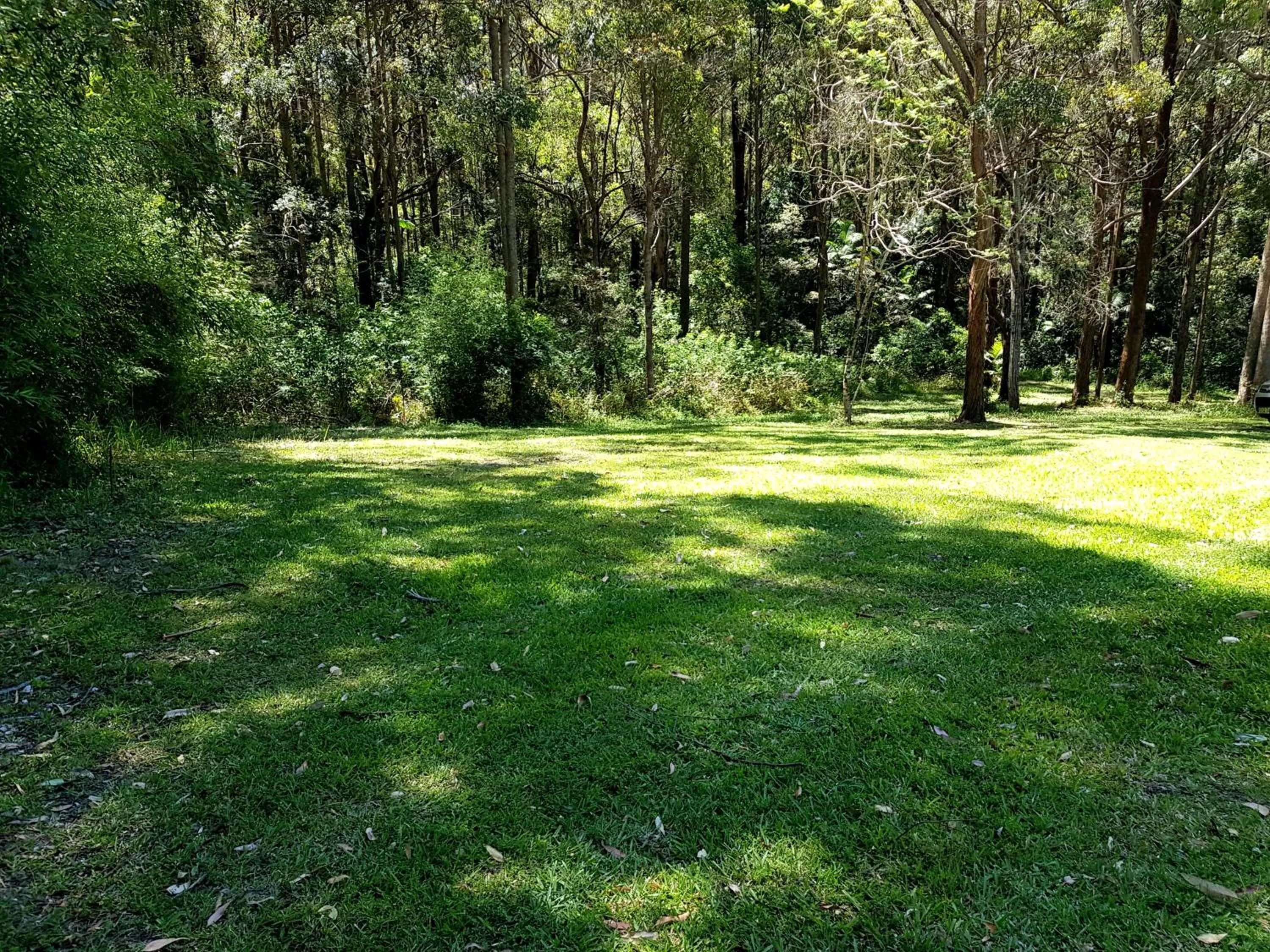 Forest view bungalow