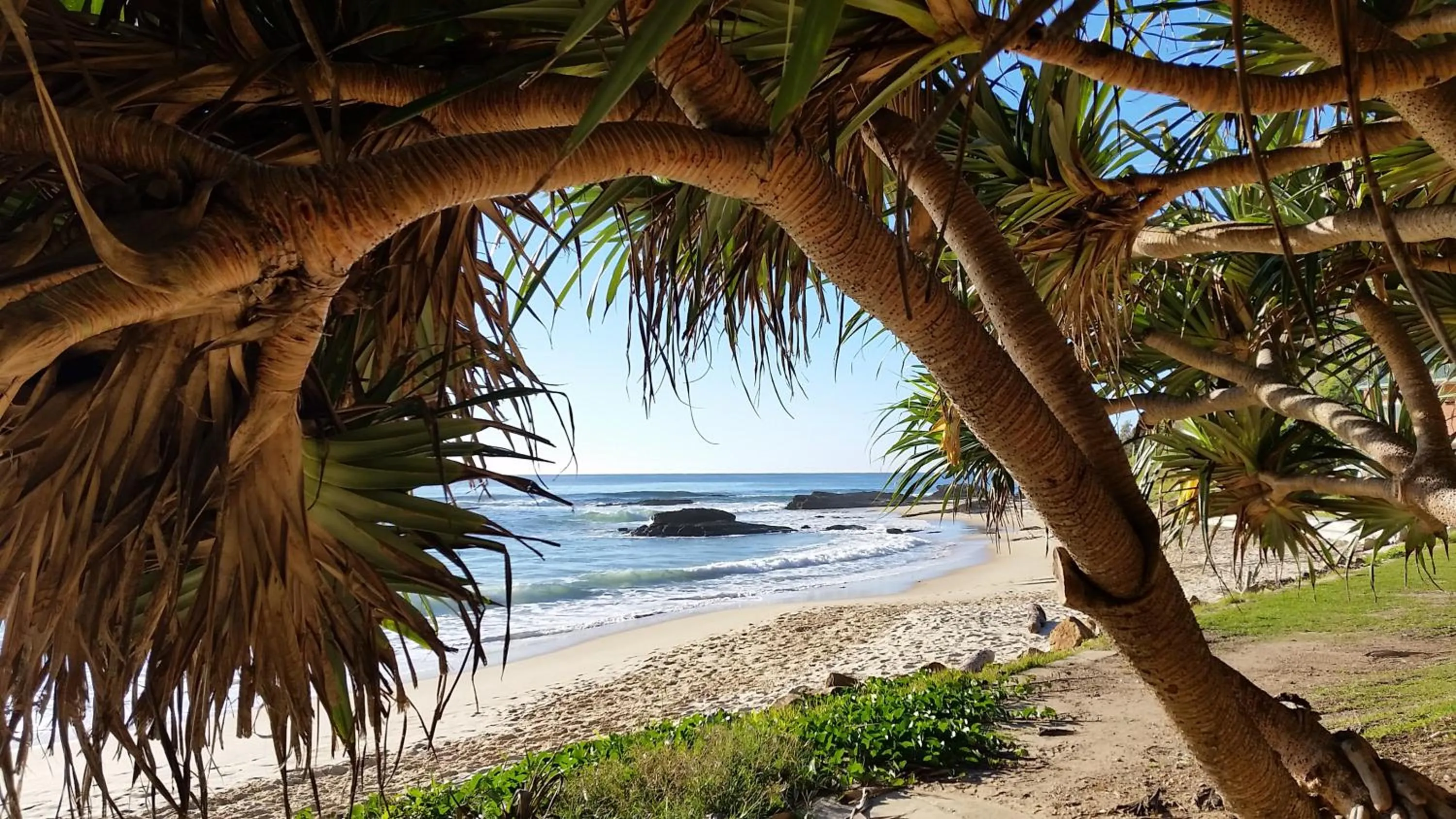Nearby landmark in Forest view bungalow