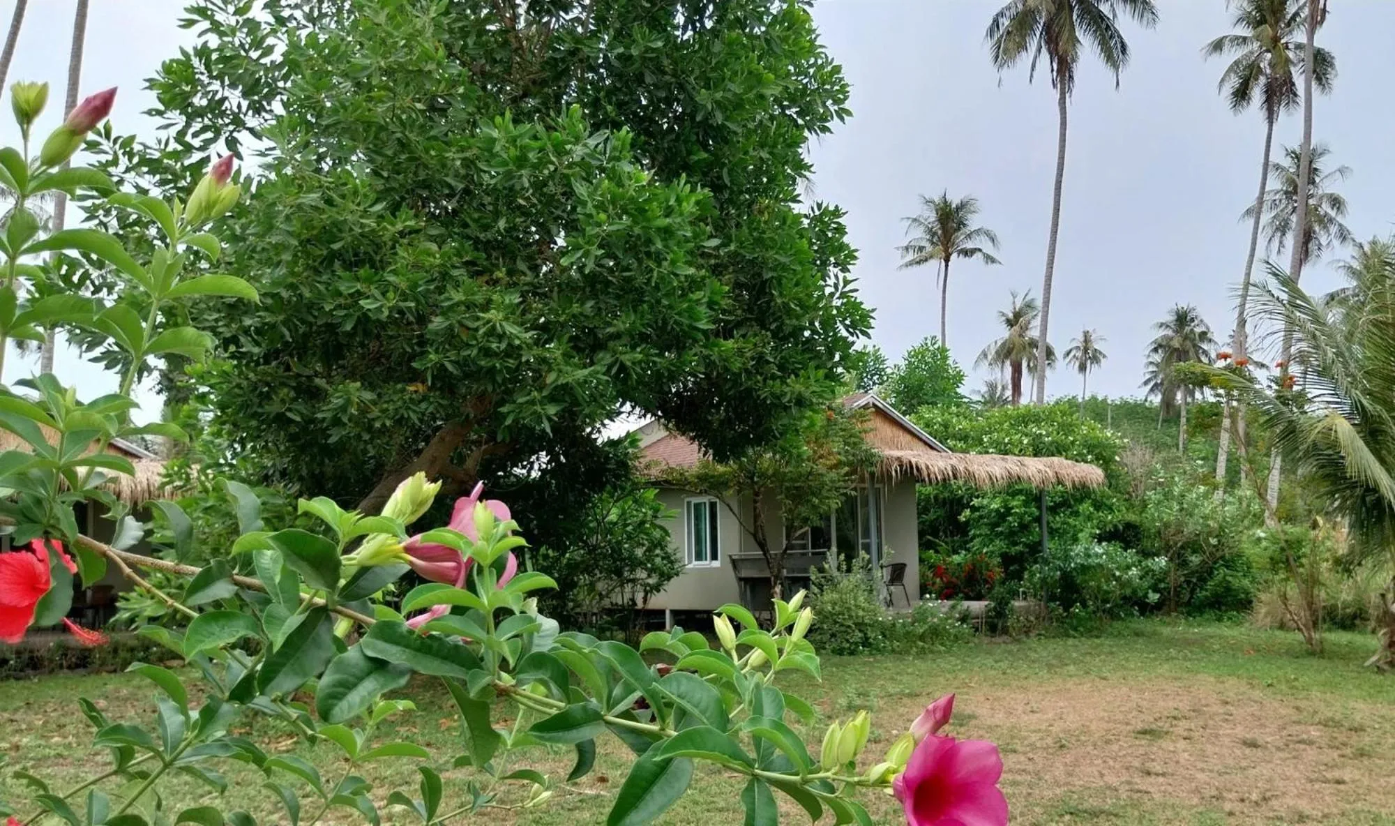 View (from property/room) in Naivacha Tent Koh Mak