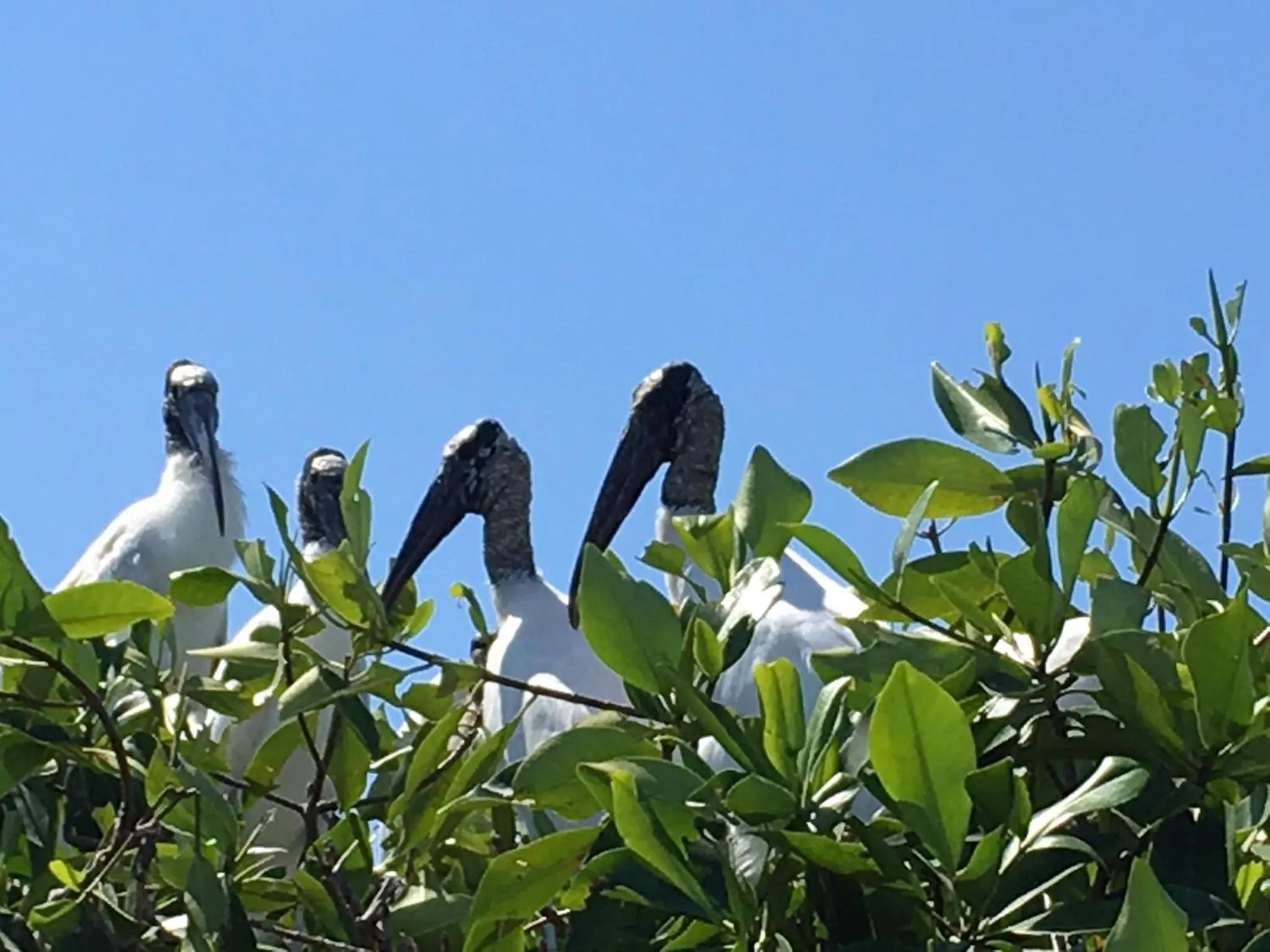 Sports in Villa Maria Bed and Breakfast