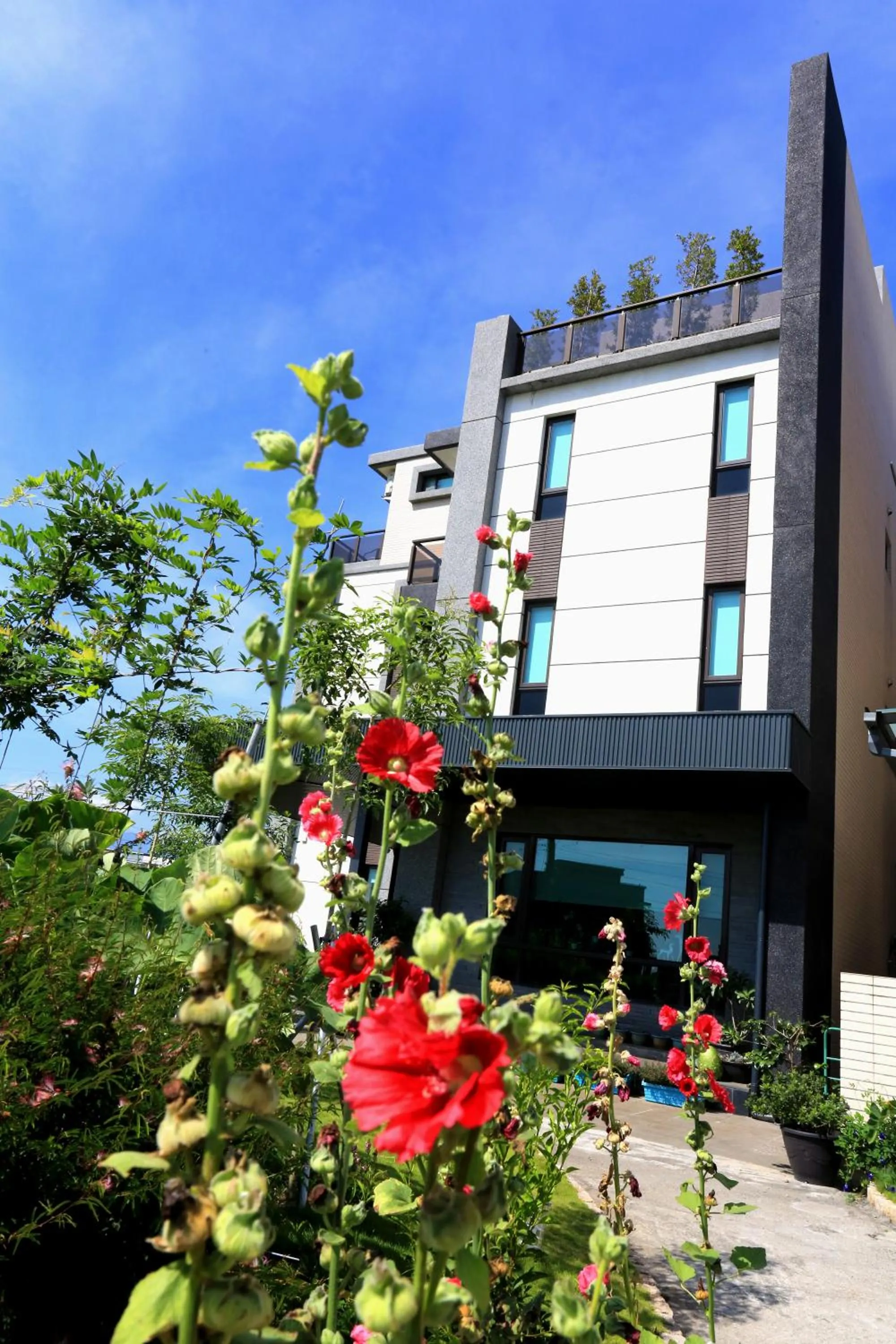 Facade/entrance in Early Summer