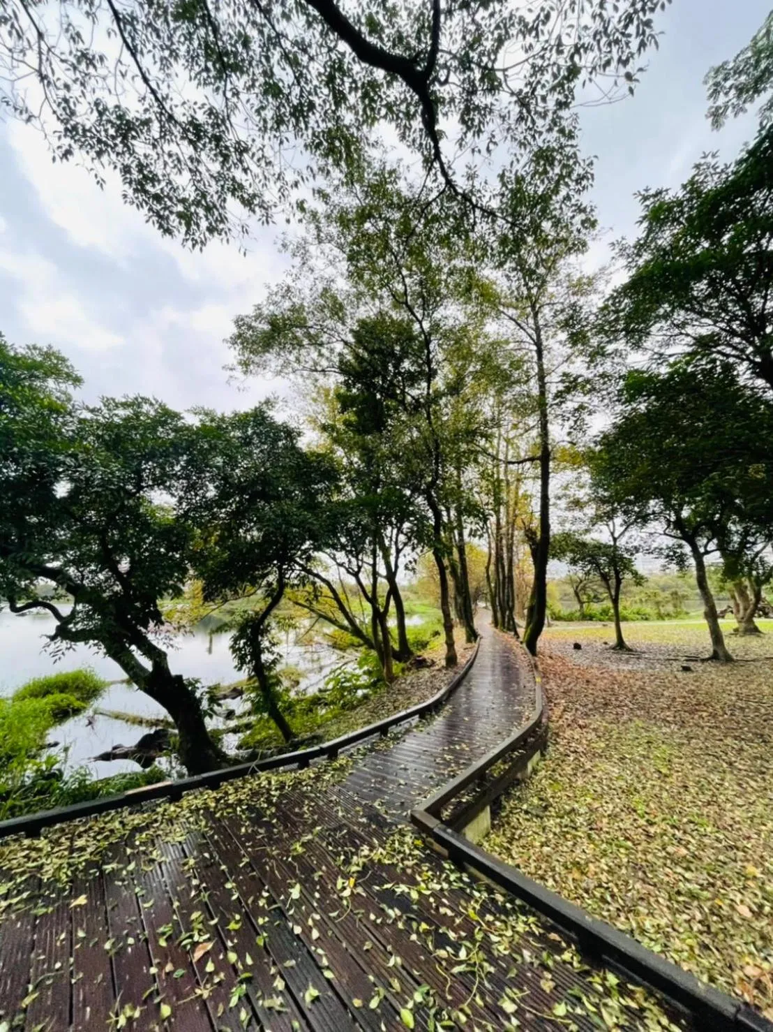 Natural landscape in Early Summer