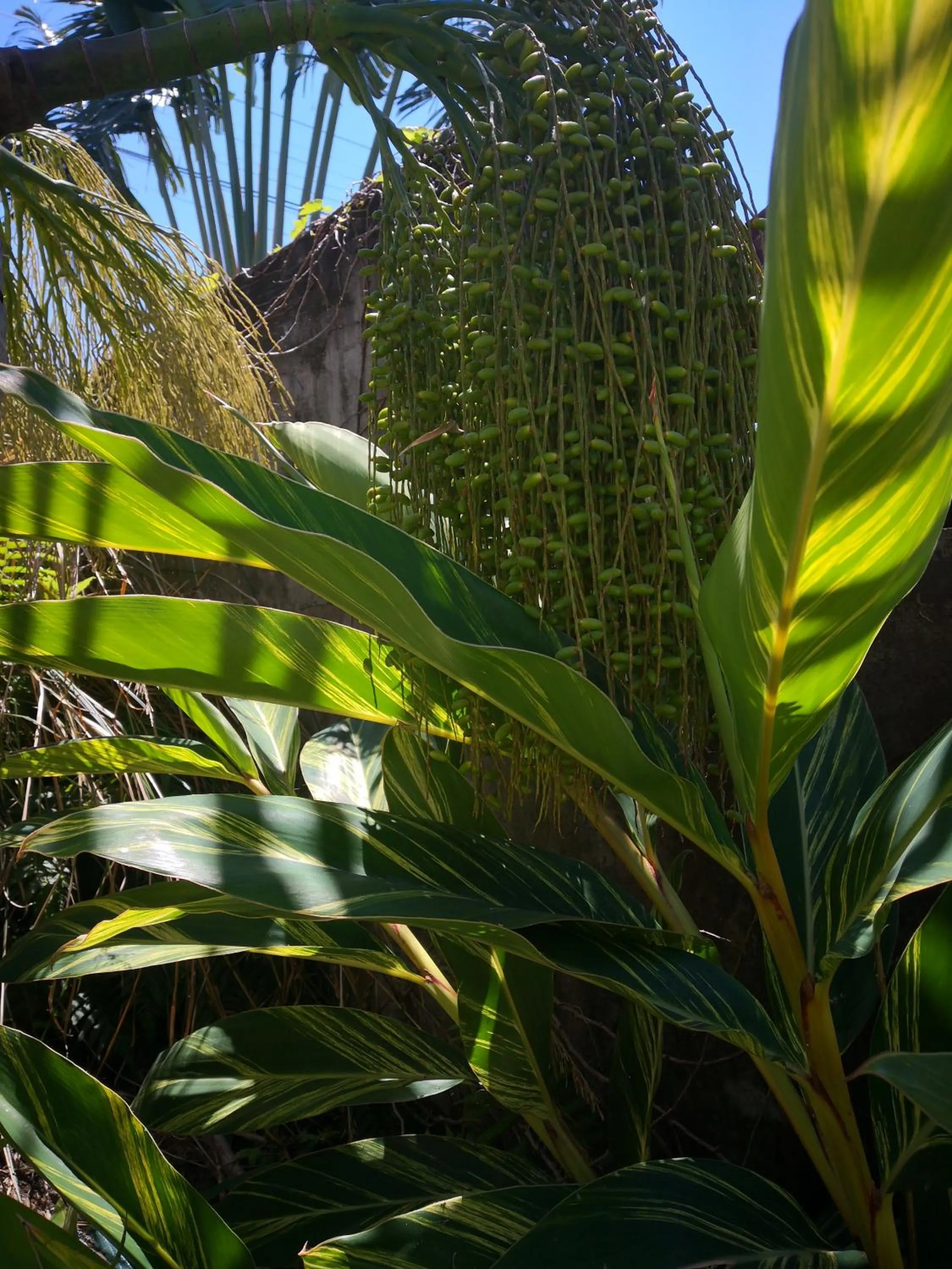 Day in Villa Niagara avec Spa