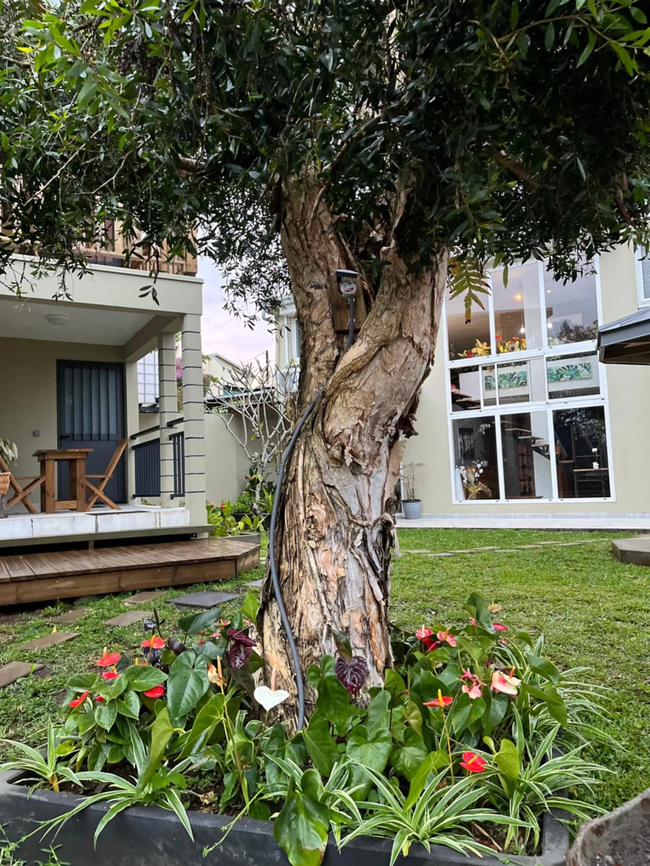 Villa Niagara avec Spa