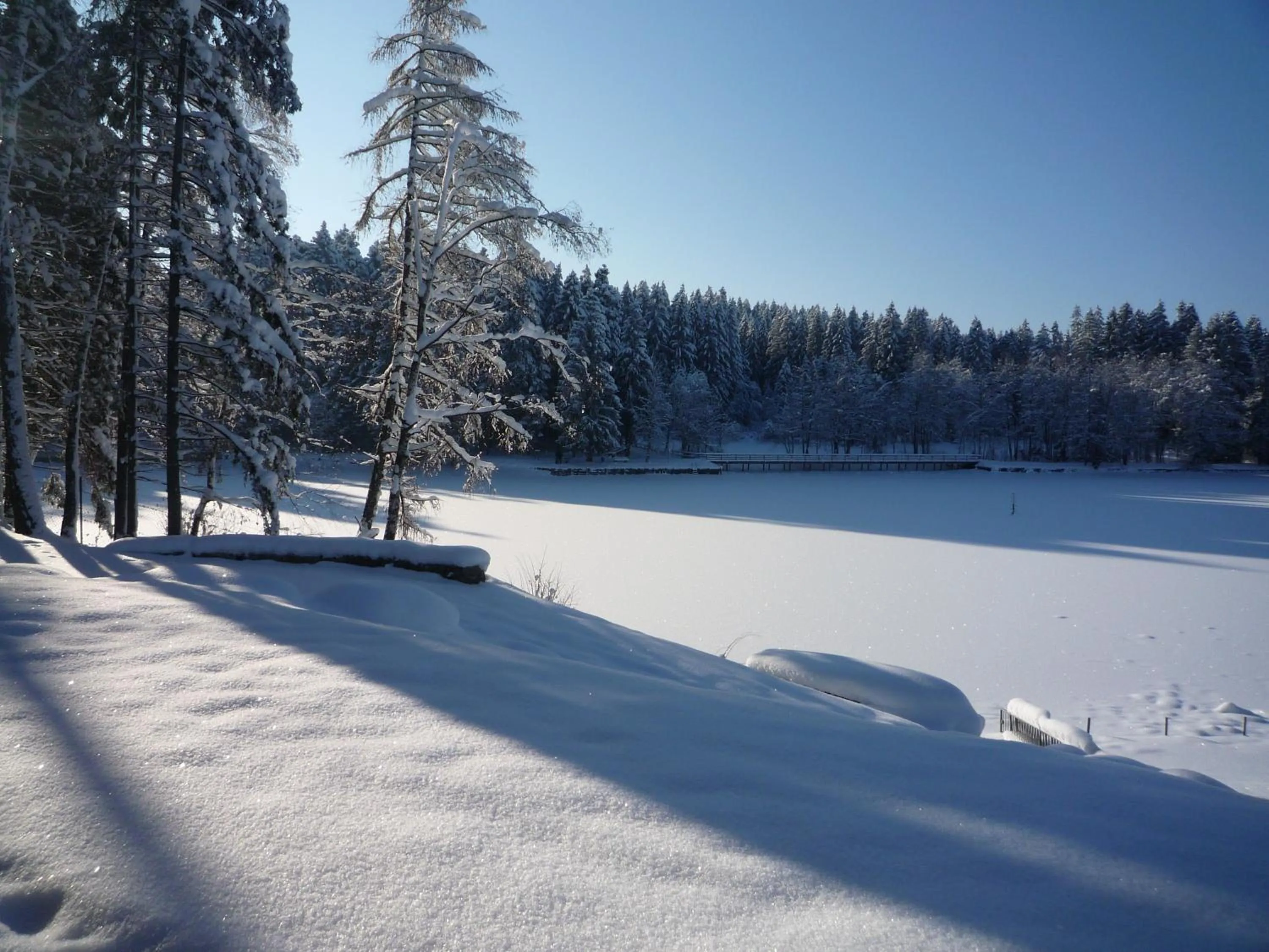 Winter in Hotel Waldsee