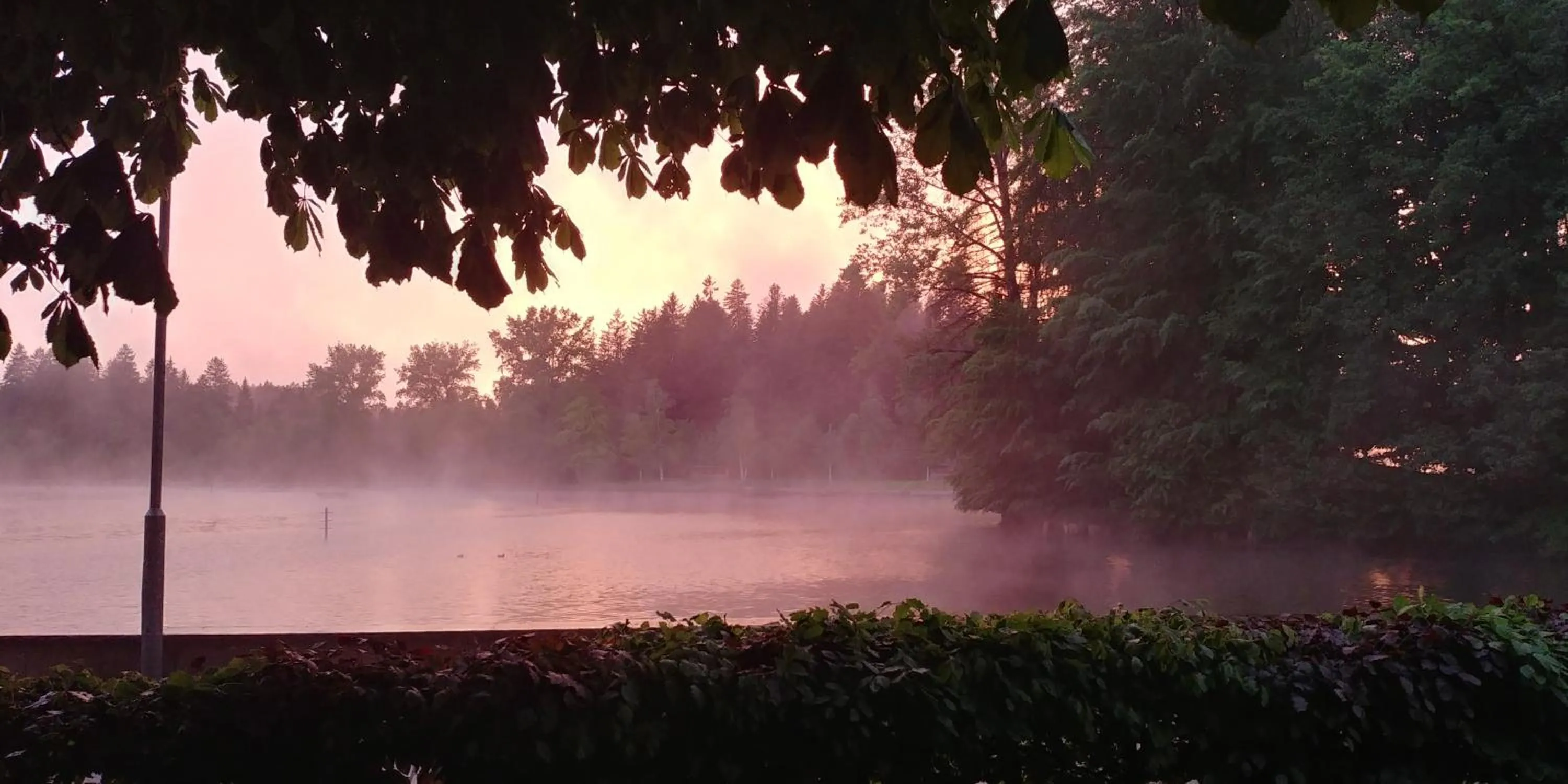 View (from property/room) in Hotel Waldsee