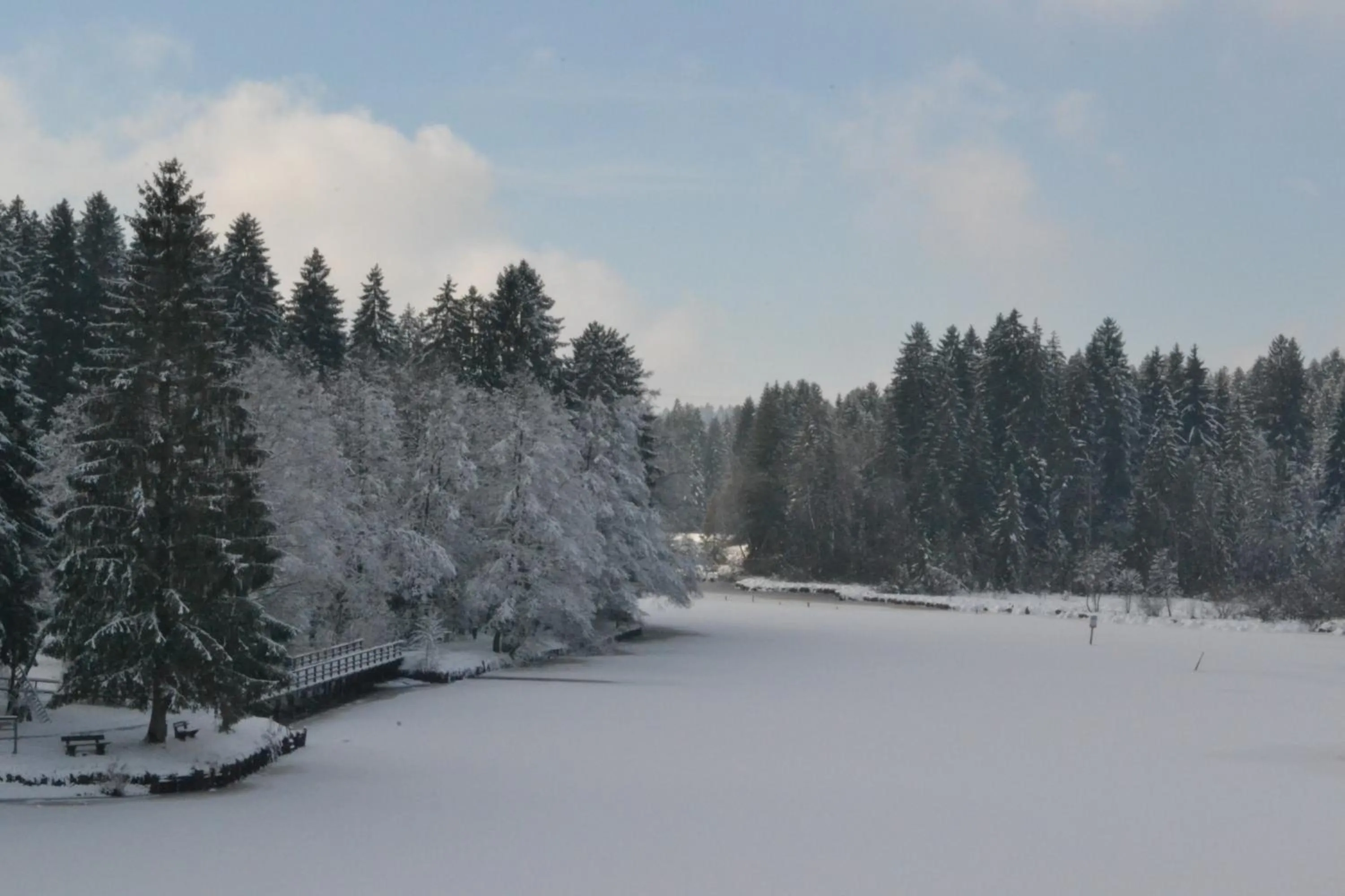Natural landscape in Hotel Waldsee