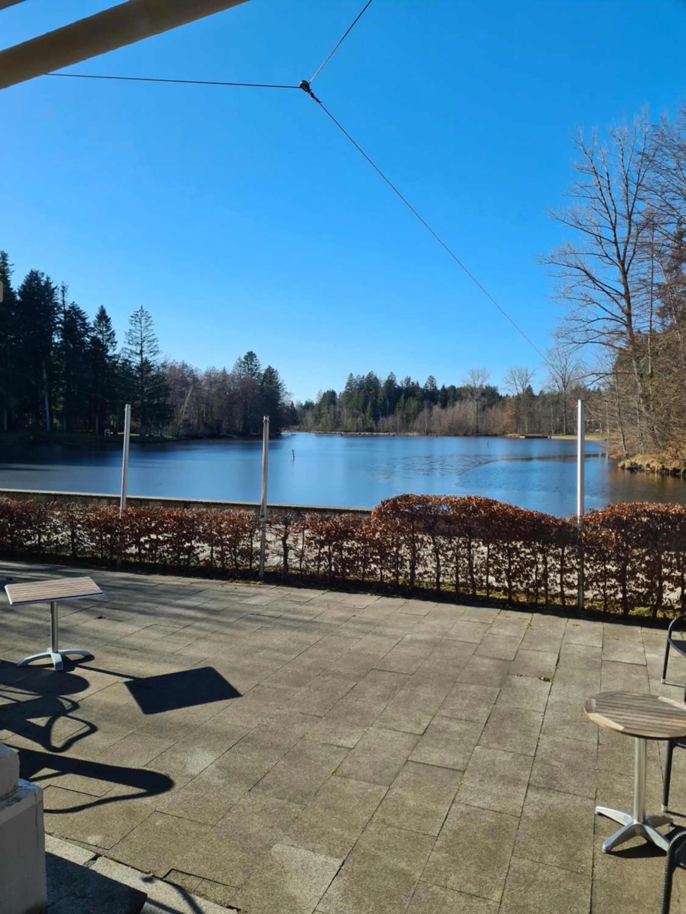 Lake view in Hotel Waldsee