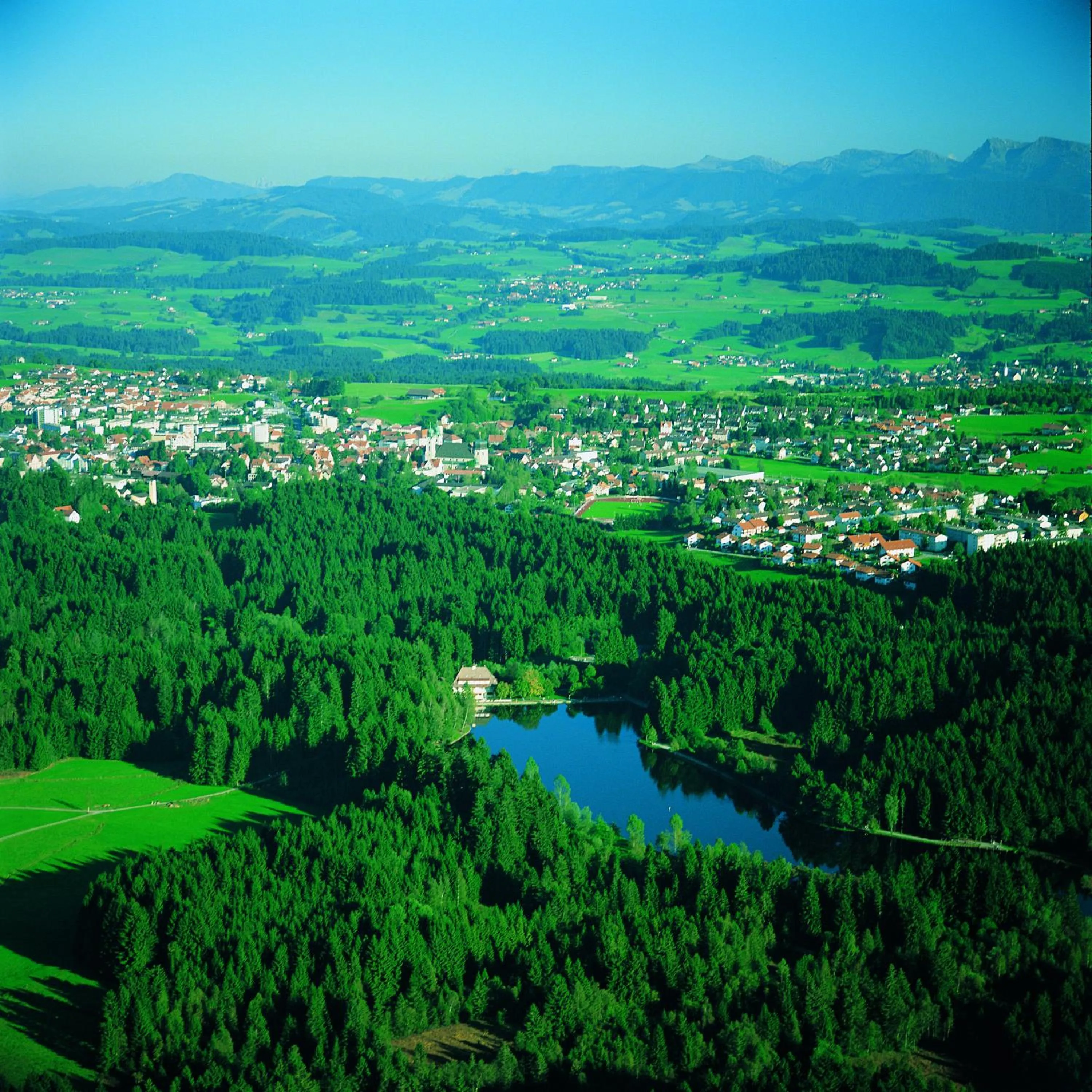 View (from property/room) in Hotel Waldsee