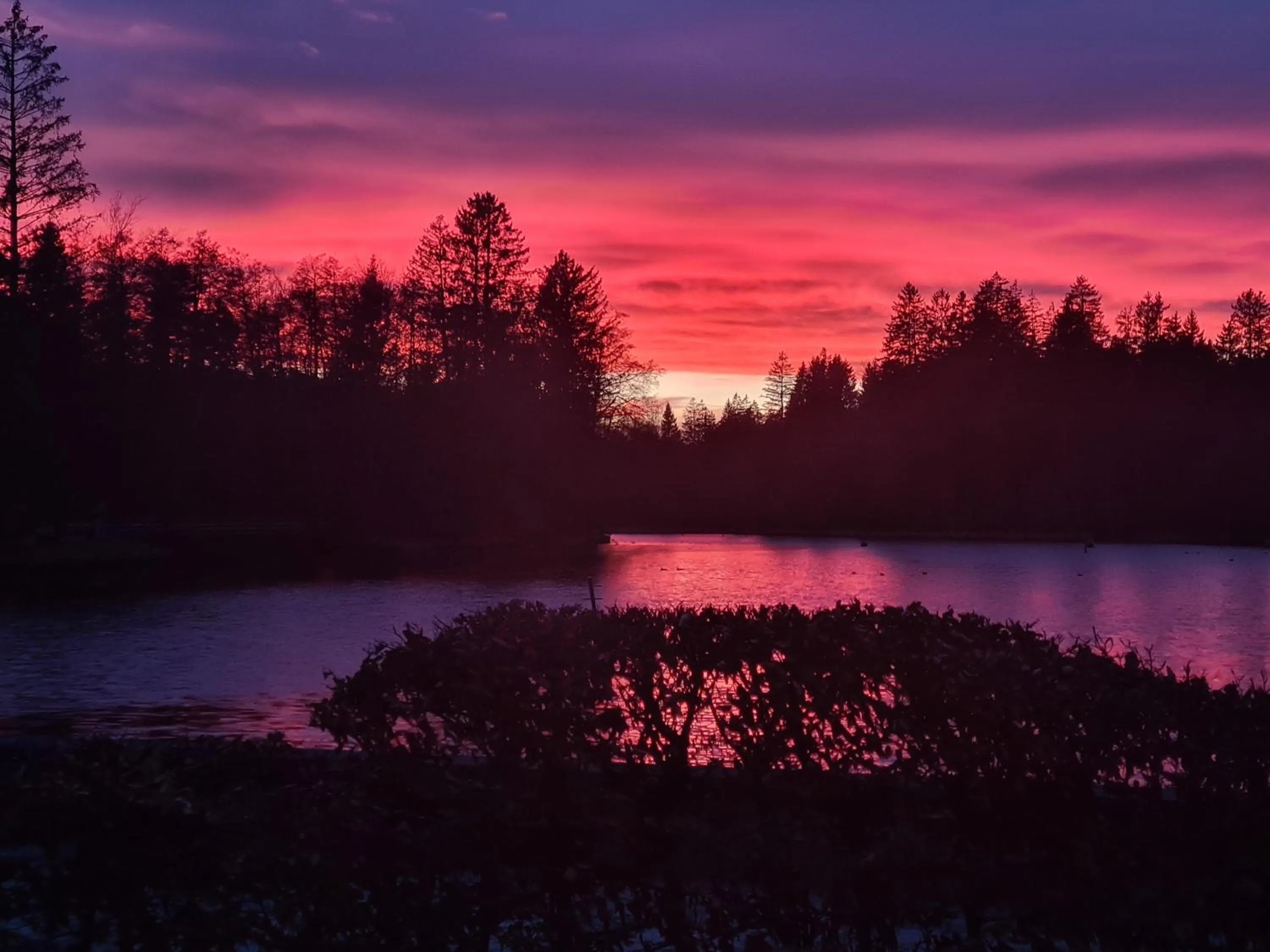 Lake view in Hotel Waldsee
