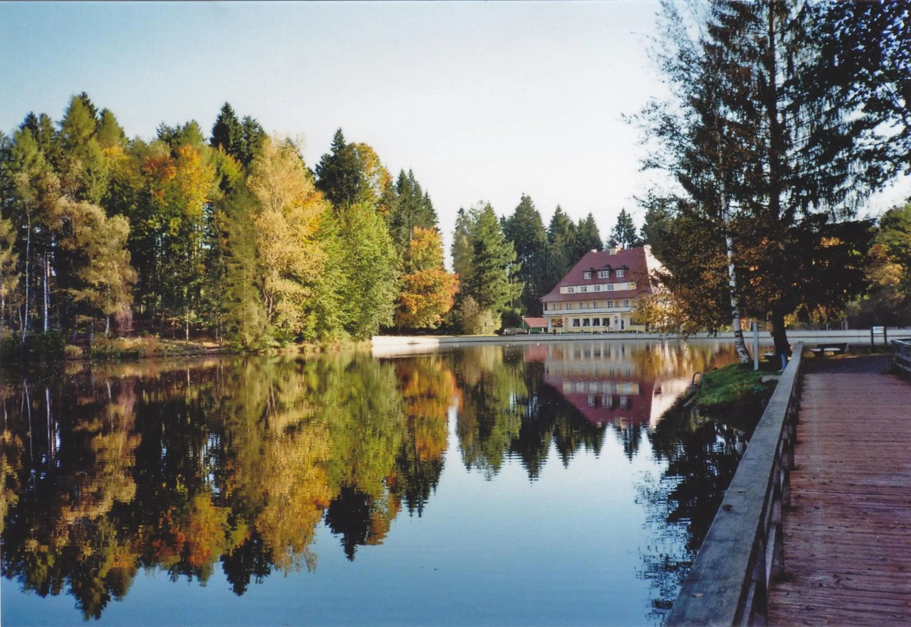 Natural landscape in Hotel Waldsee