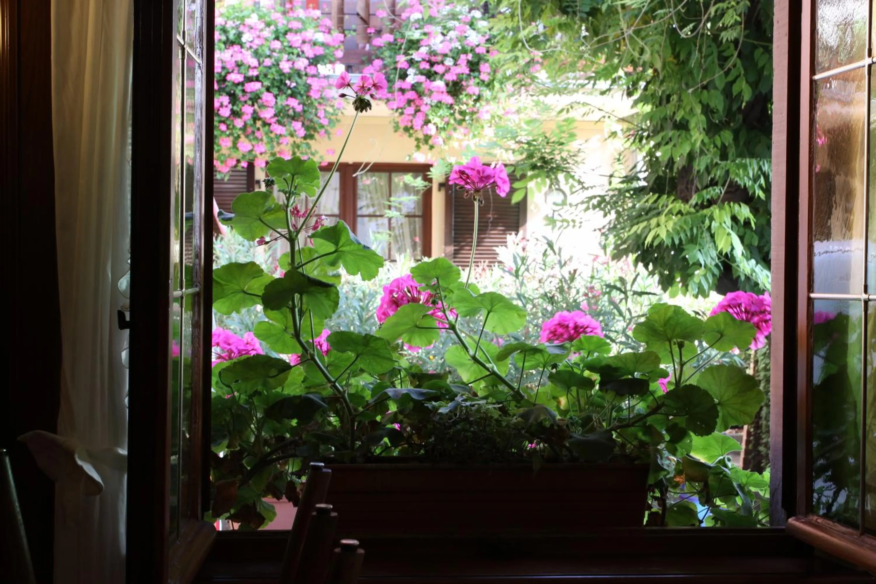 View (from property/room) in Logis Hotel Restaurant A L'Etoile