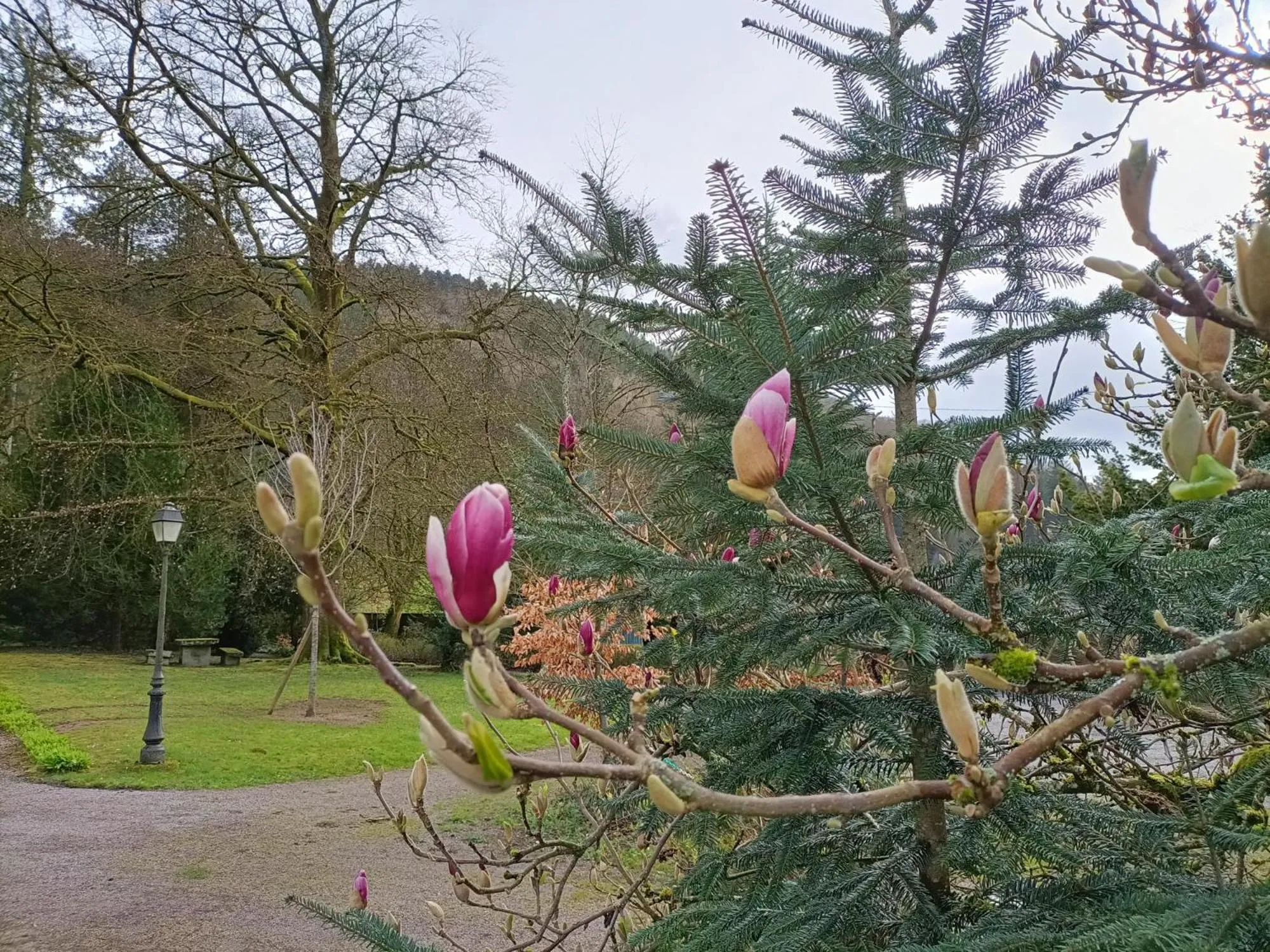 Garden in Logis La Résidence