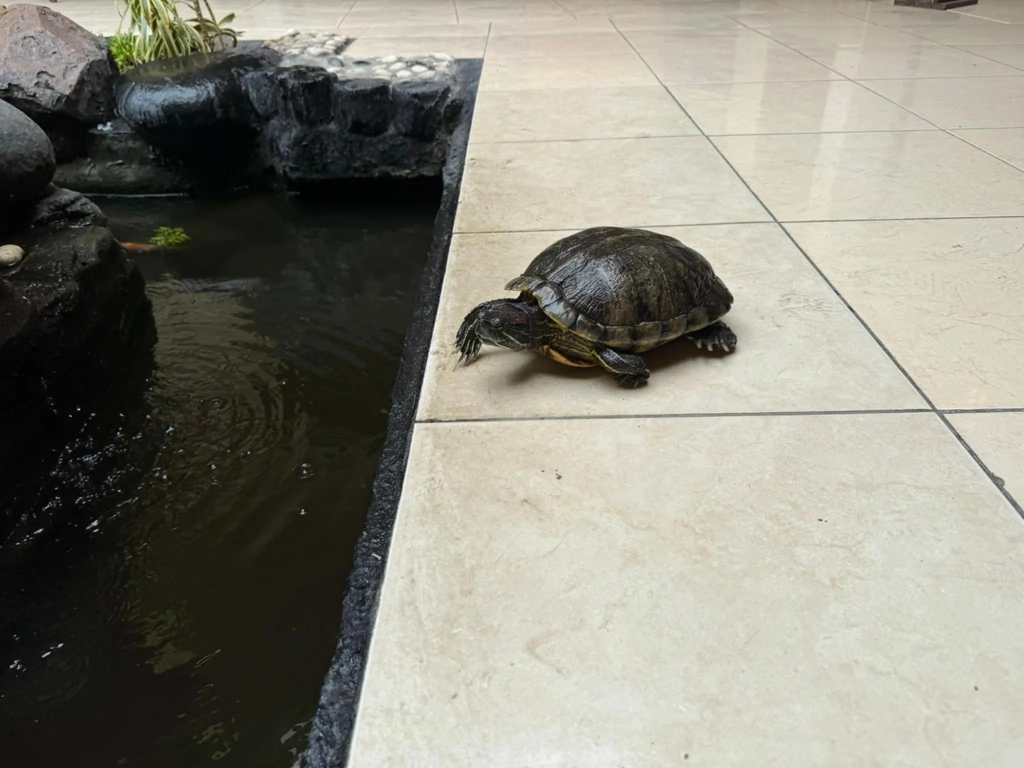 Day in Hotel Priangan