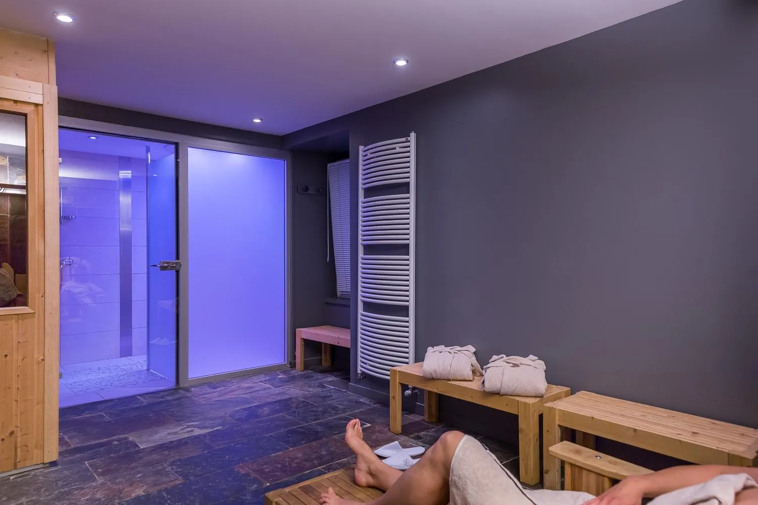 Sauna in Logis LE RABELAIS Hôtel- Restaurant - SPA