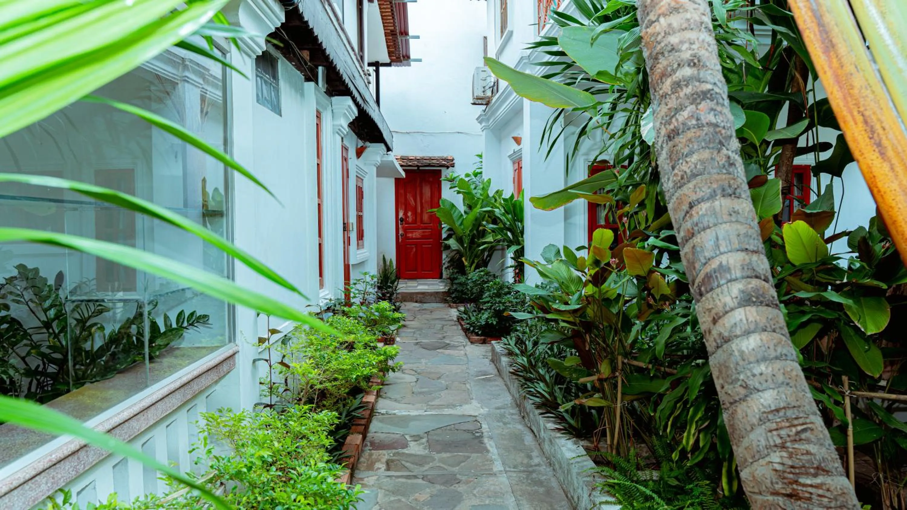 Garden in Villa Wat Damnak