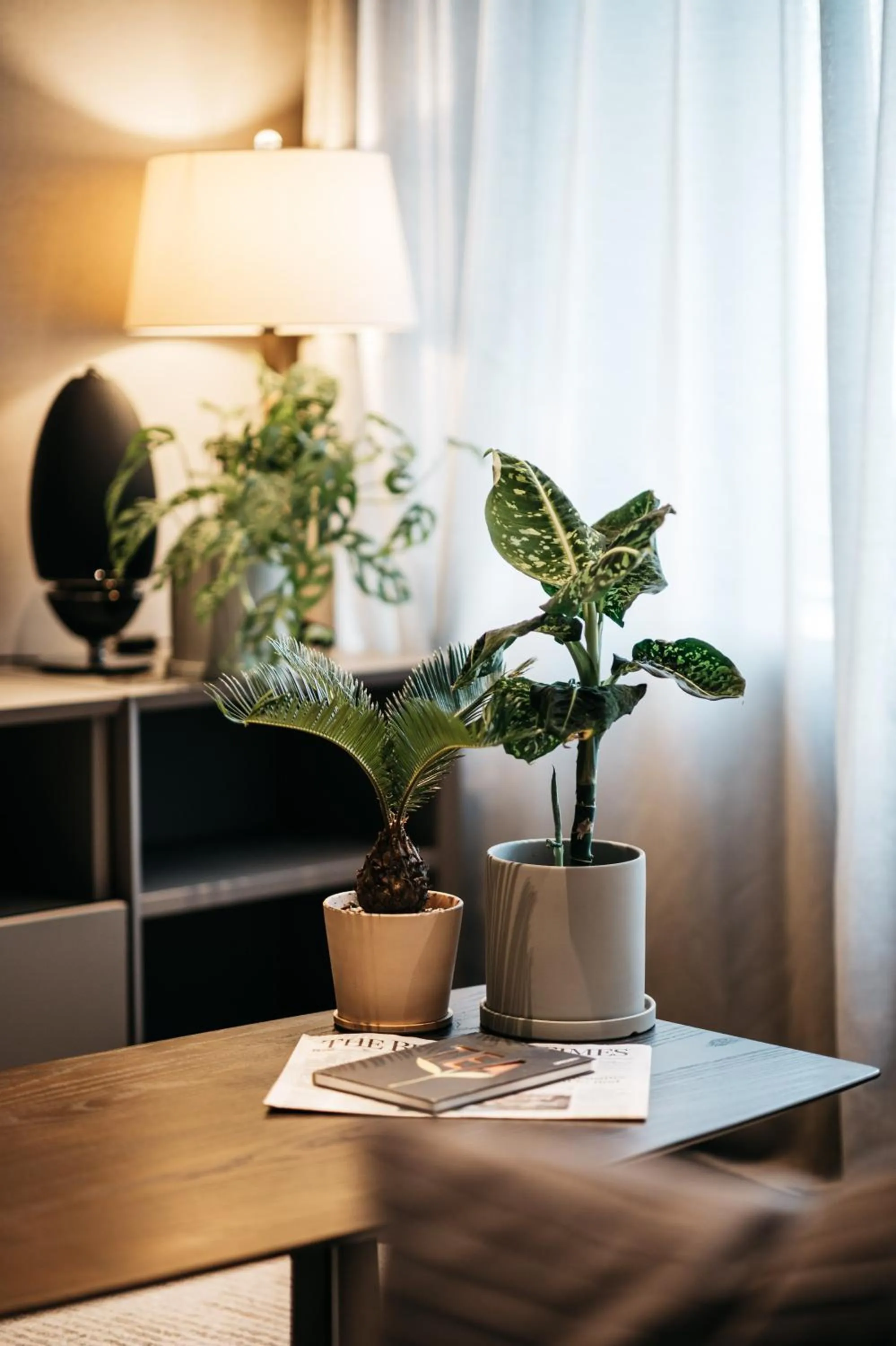 Living room in Dao by Dorsett AMTD Singapore