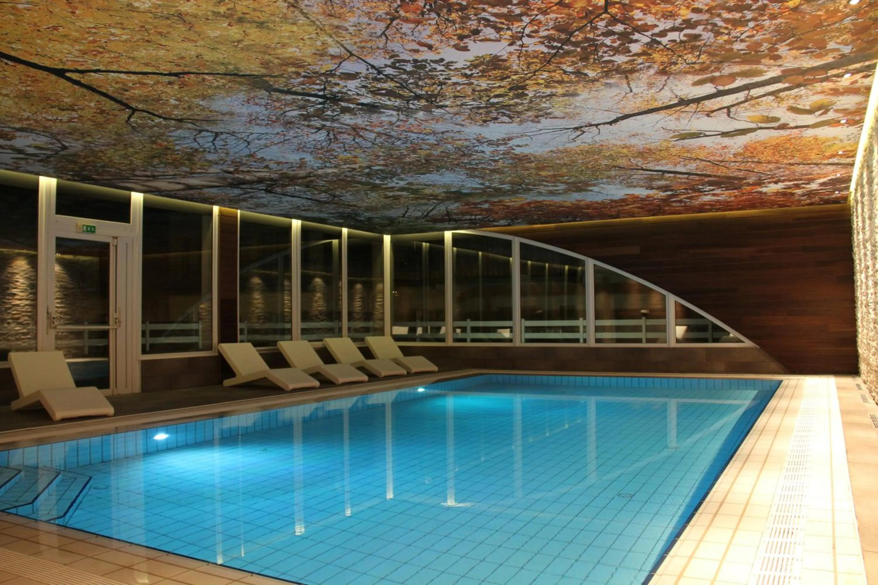 Swimming pool in L'Orée du Bois