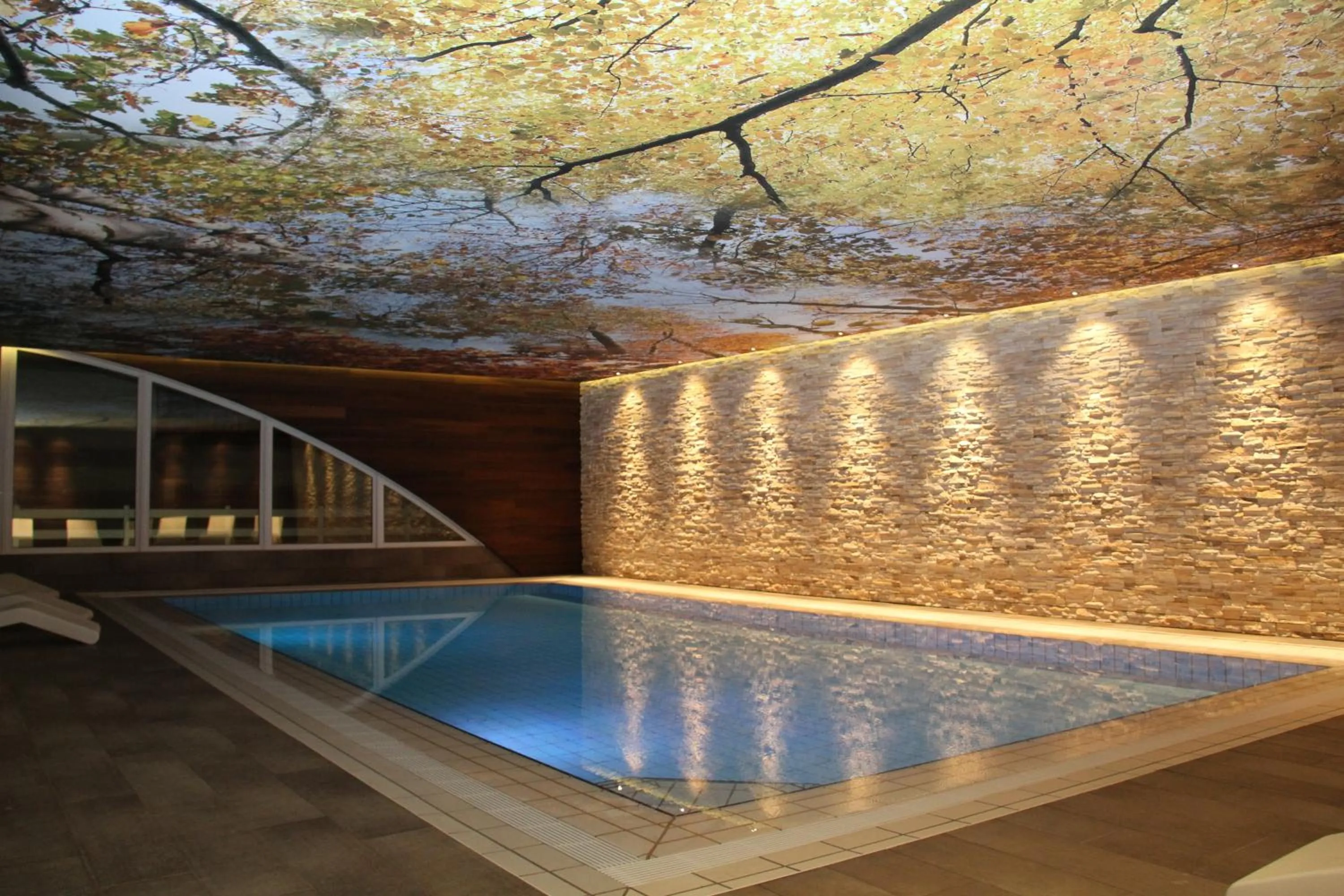 Swimming pool in L'Orée du Bois