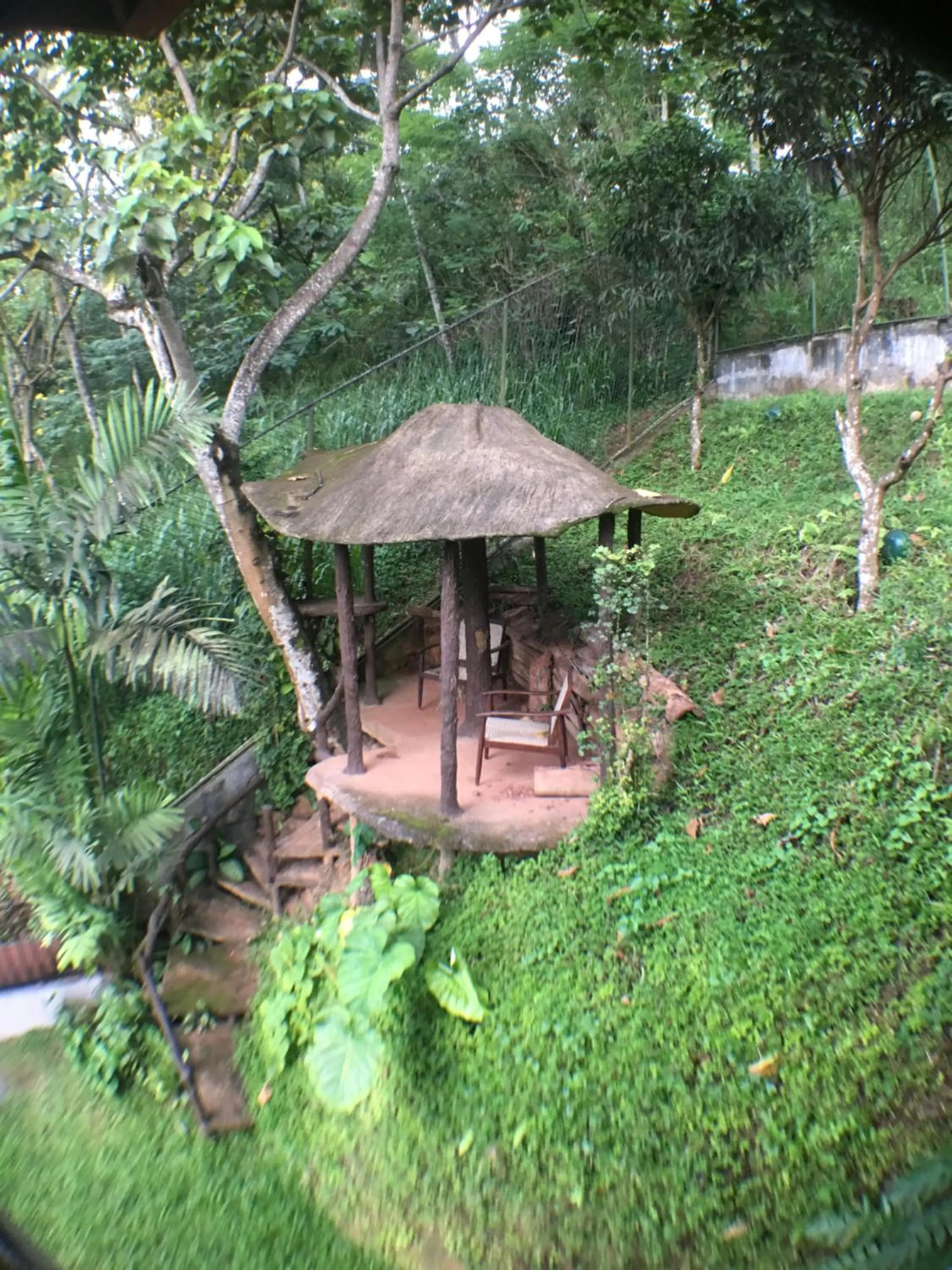 Garden in Villa Familia