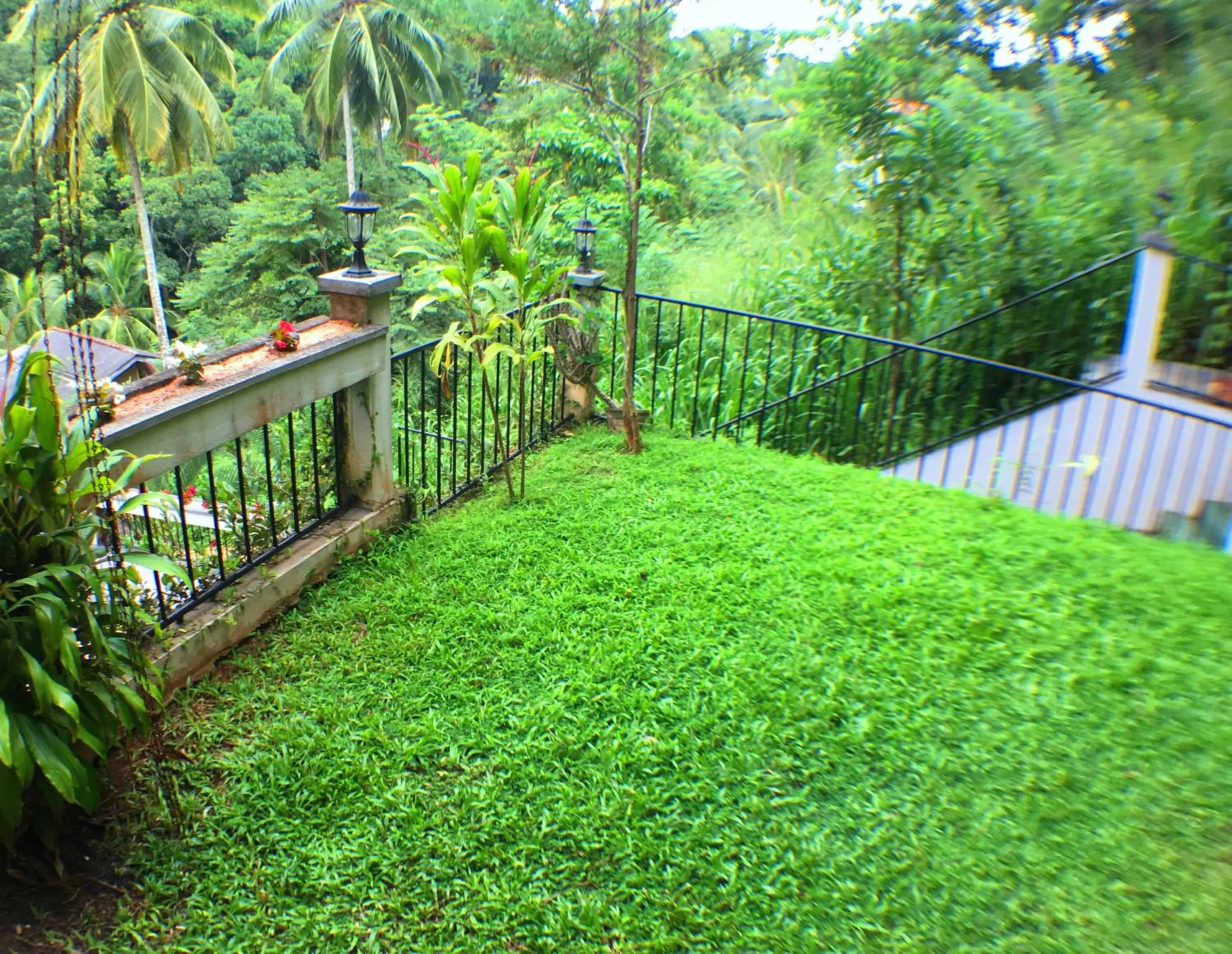 Garden view in Villa Familia