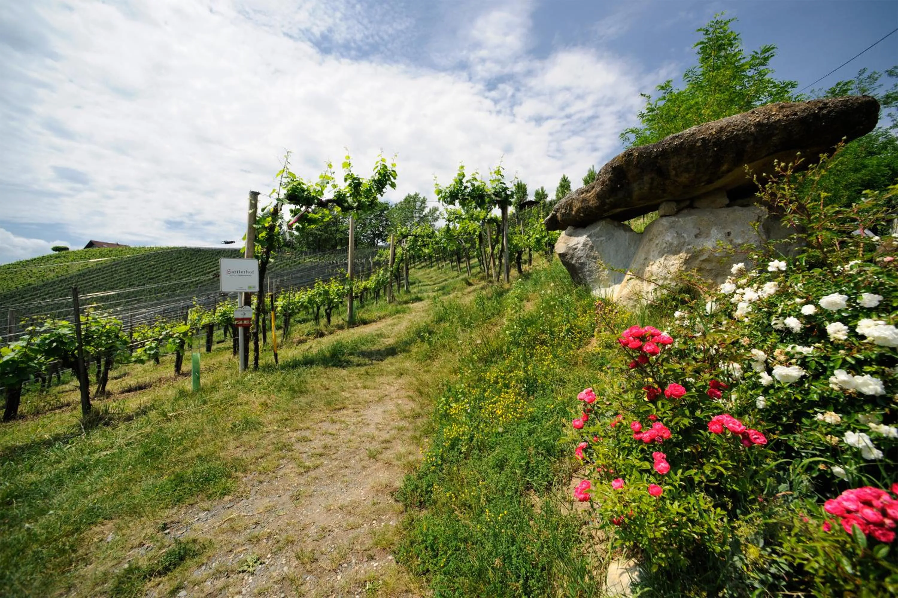Natural landscape in Sattlerhof Genießerhotel & Weingut