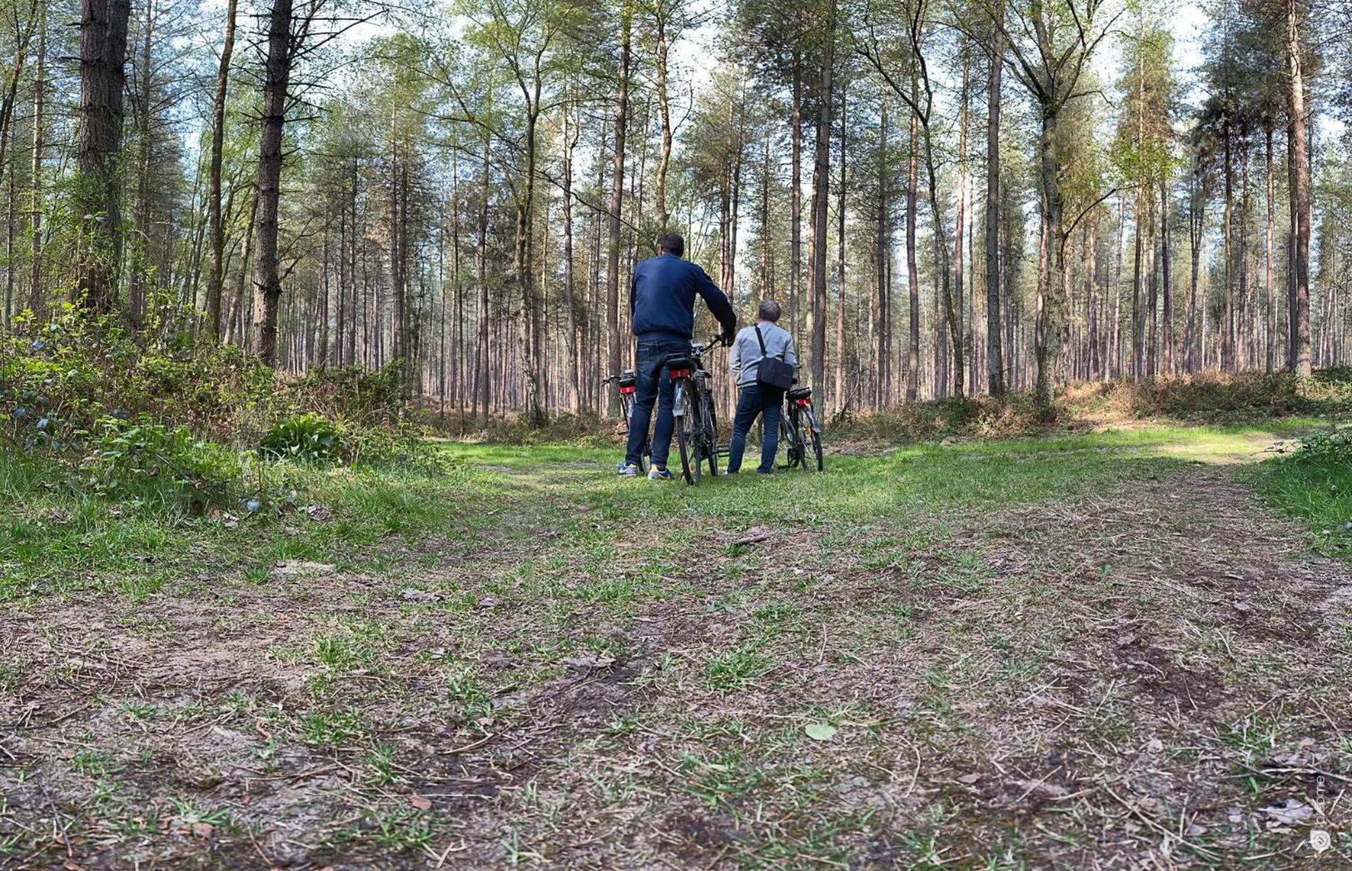 Cycling in Logis Hôtel & Restaurant - Le Relais de Montigny