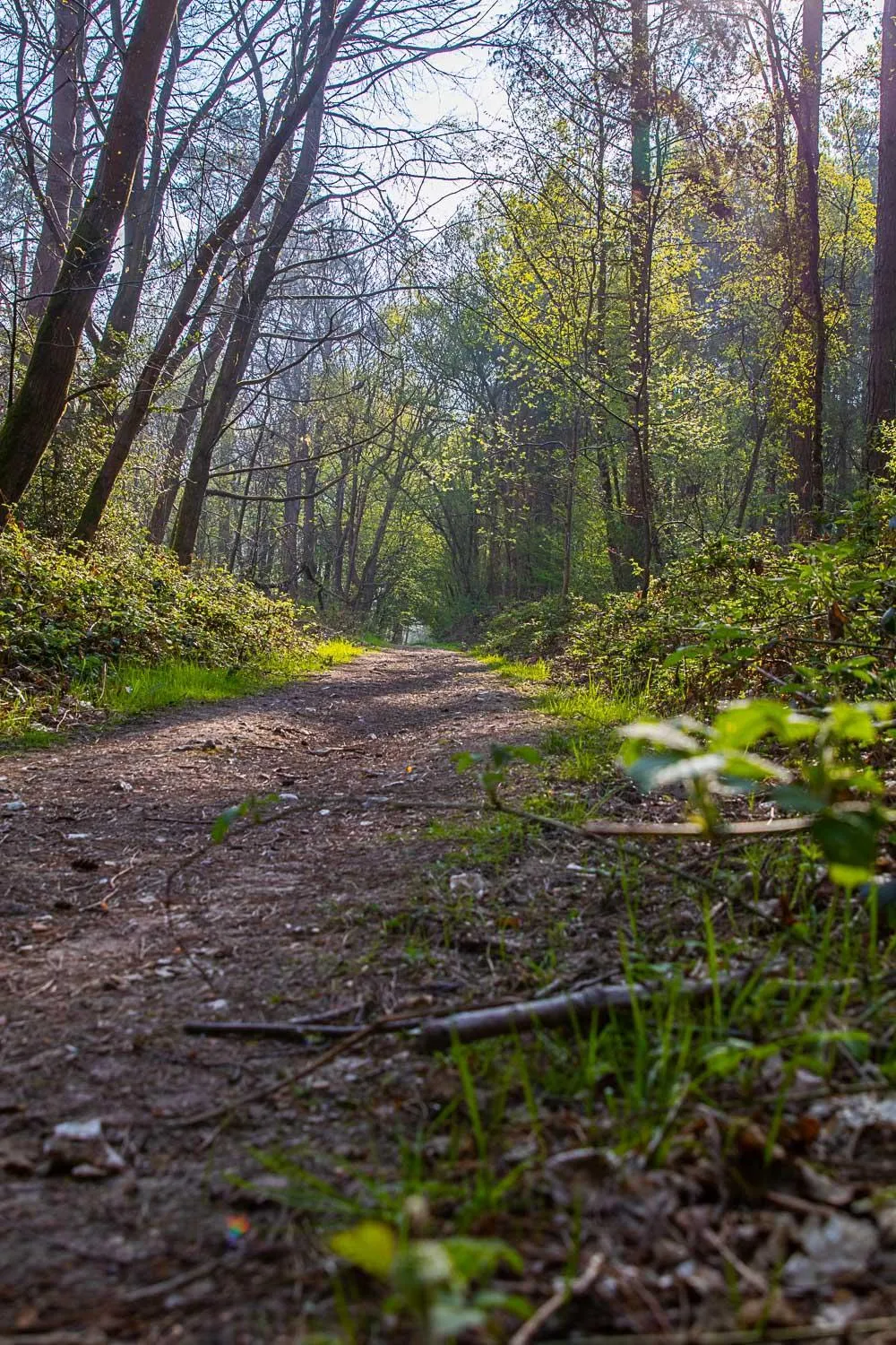 Hiking in Logis Hôtel & Restaurant - Le Relais de Montigny