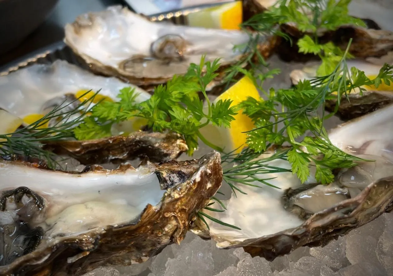 Food and drinks in Hotel Britannia