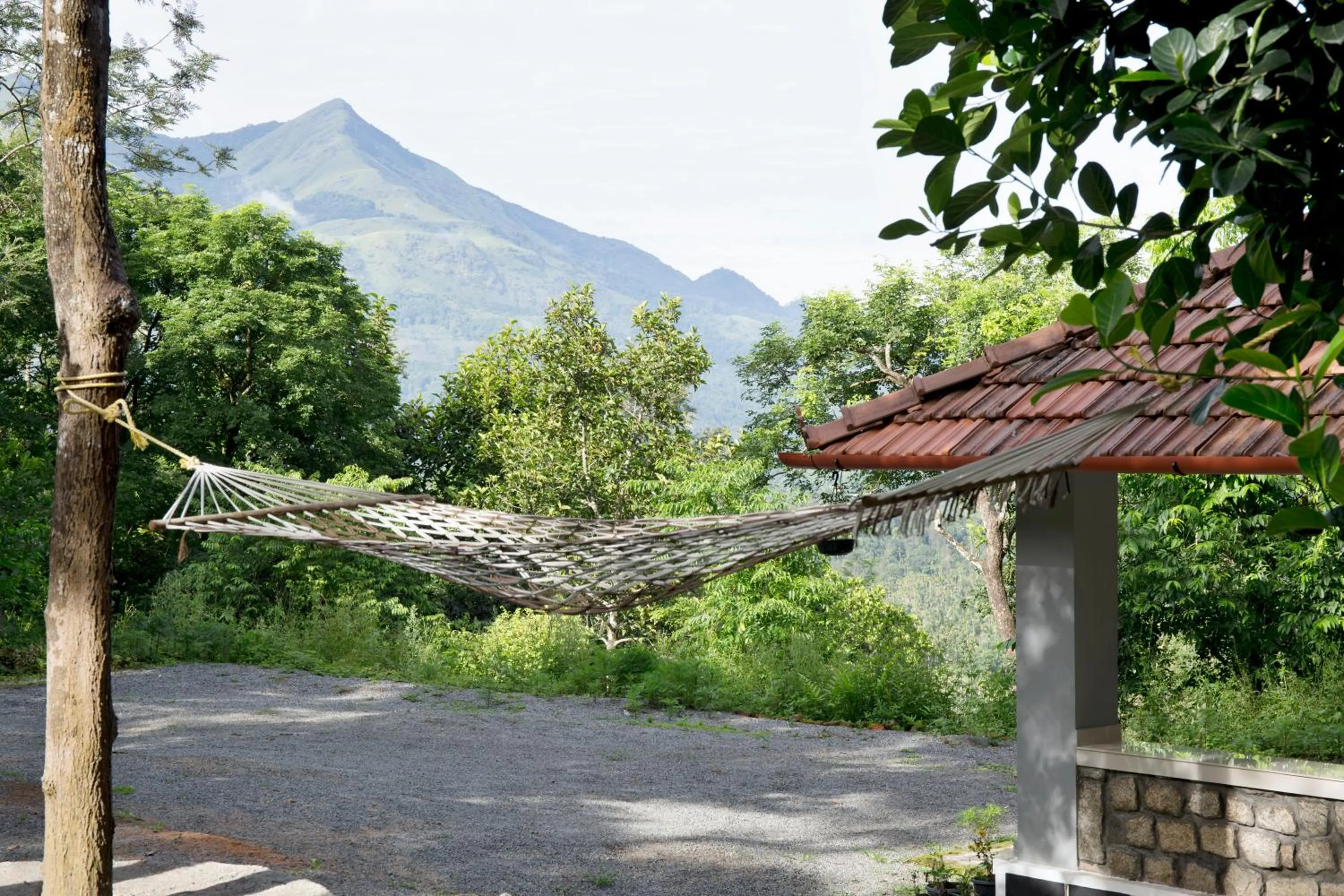 Property building in Rock Haven Wayanad