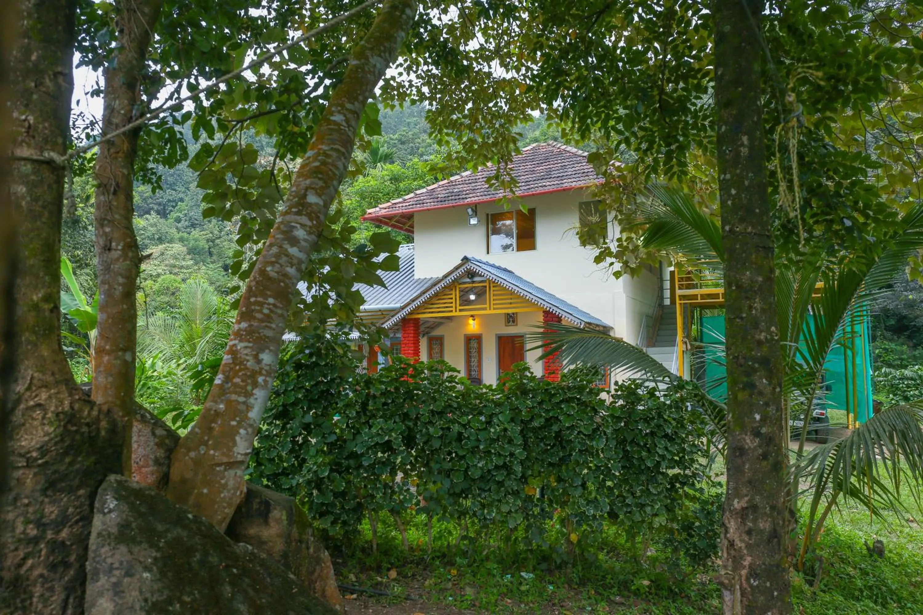 View (from property/room) in Rock Haven Wayanad