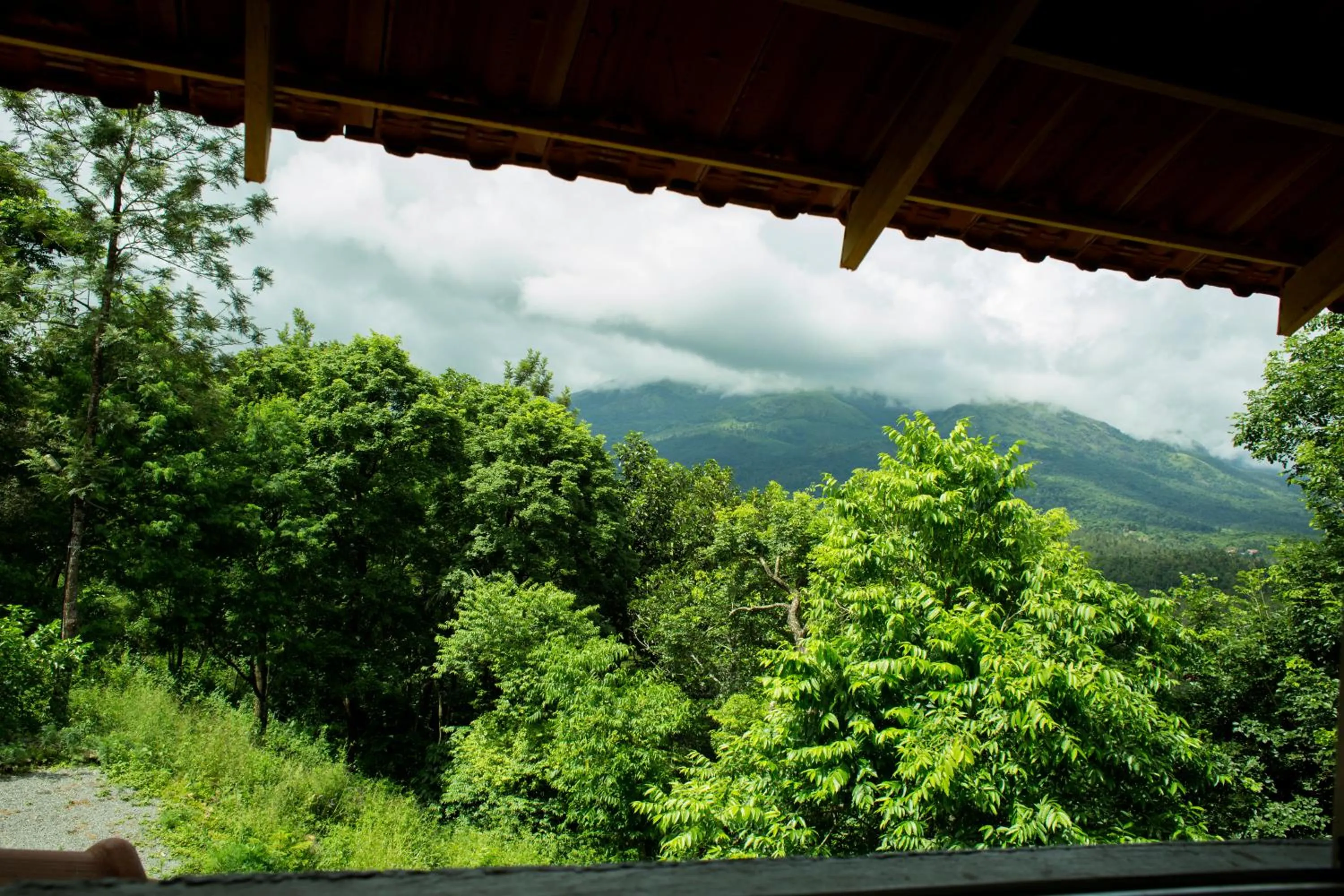 View (from property/room) in Rock Haven Wayanad