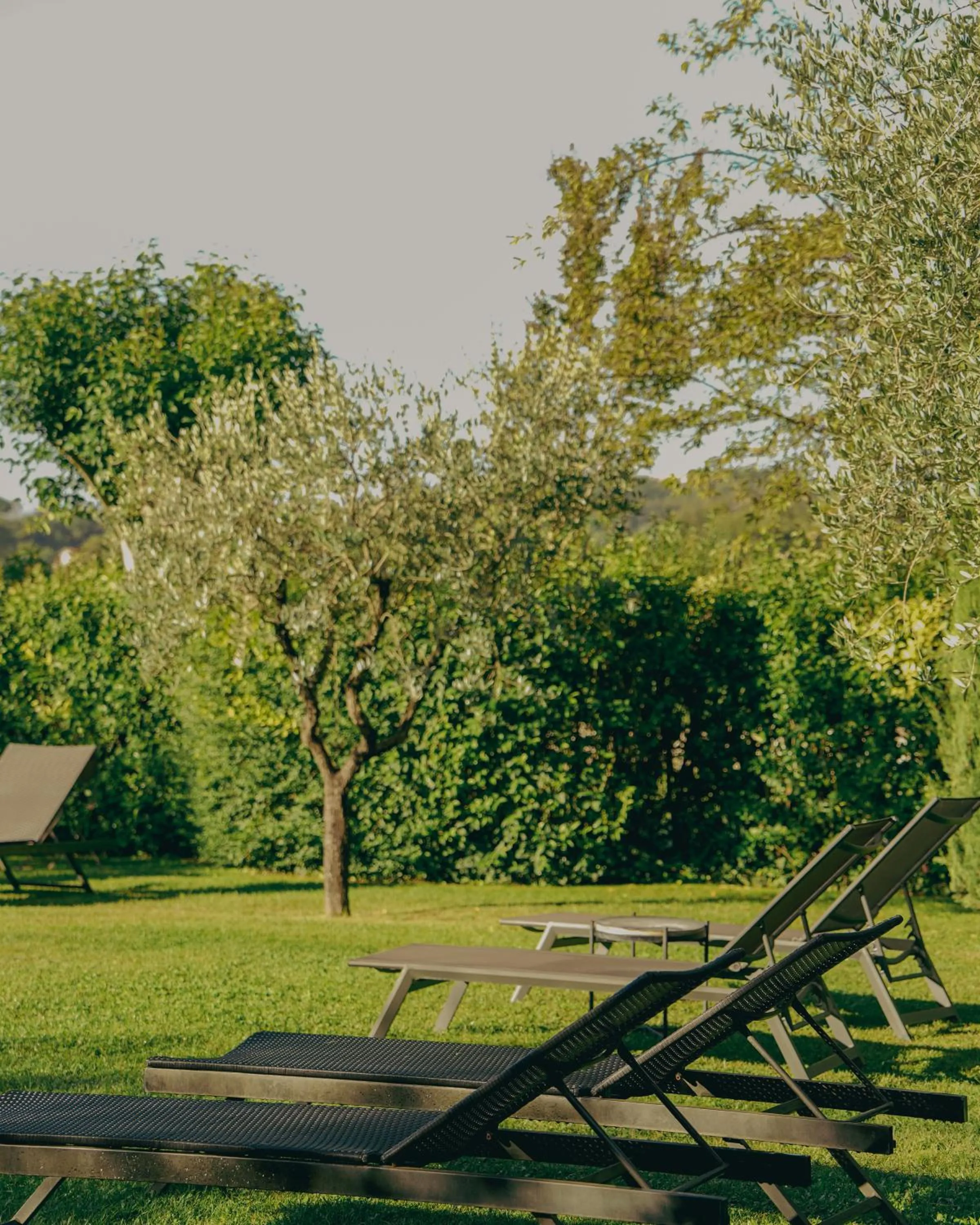 Natural landscape in Corte Vallio