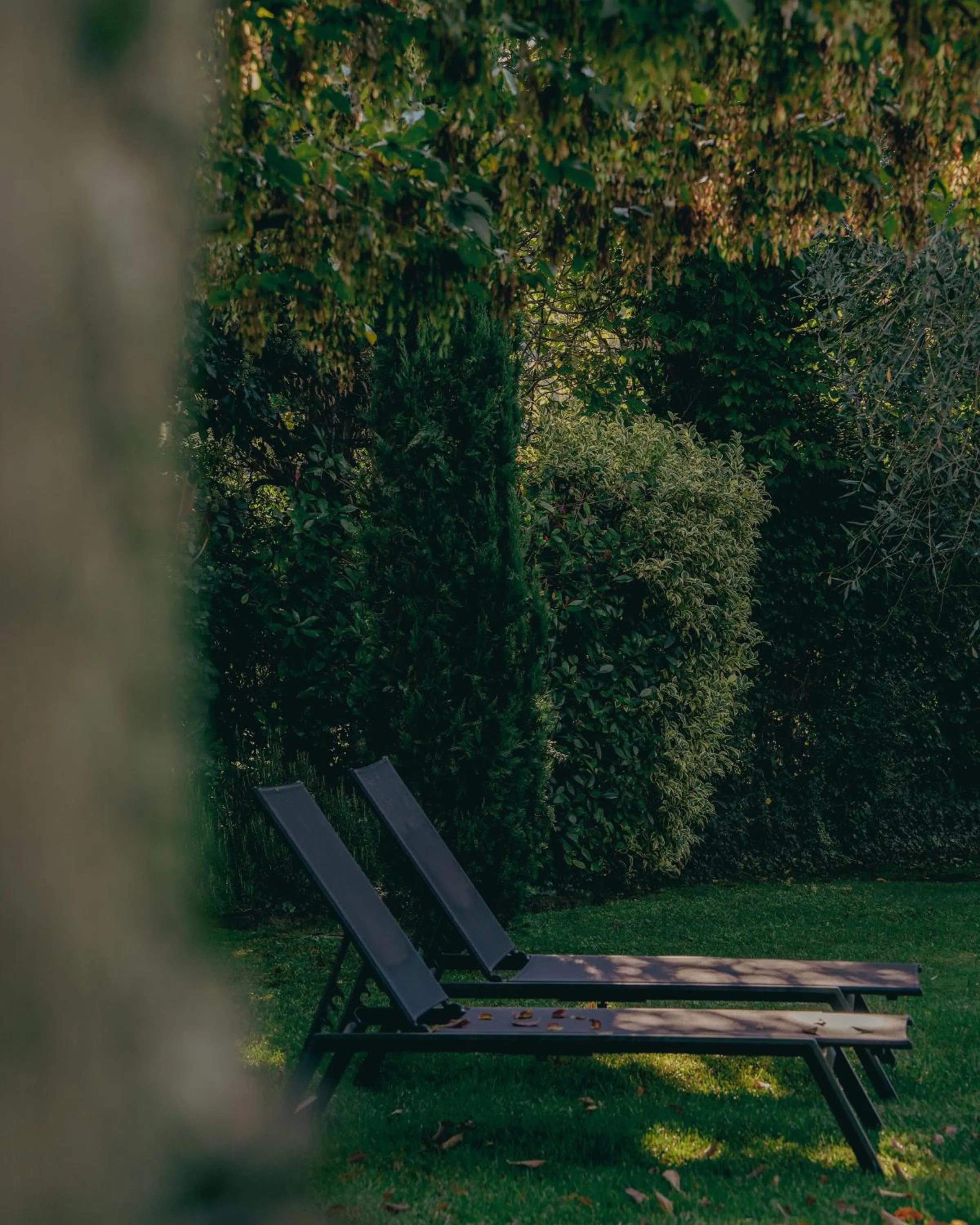 Garden in Corte Vallio