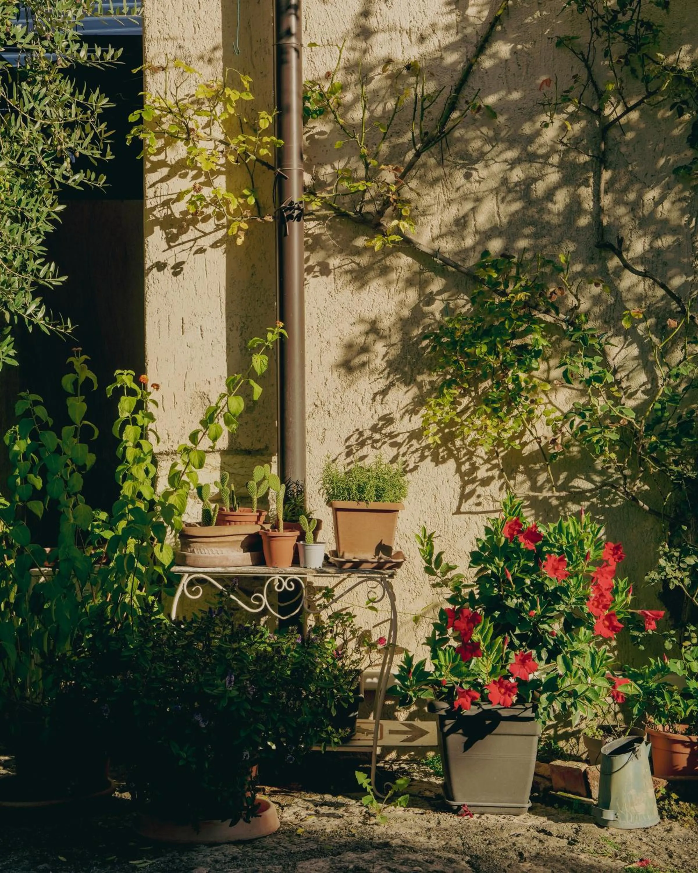 Spring in Corte Vallio