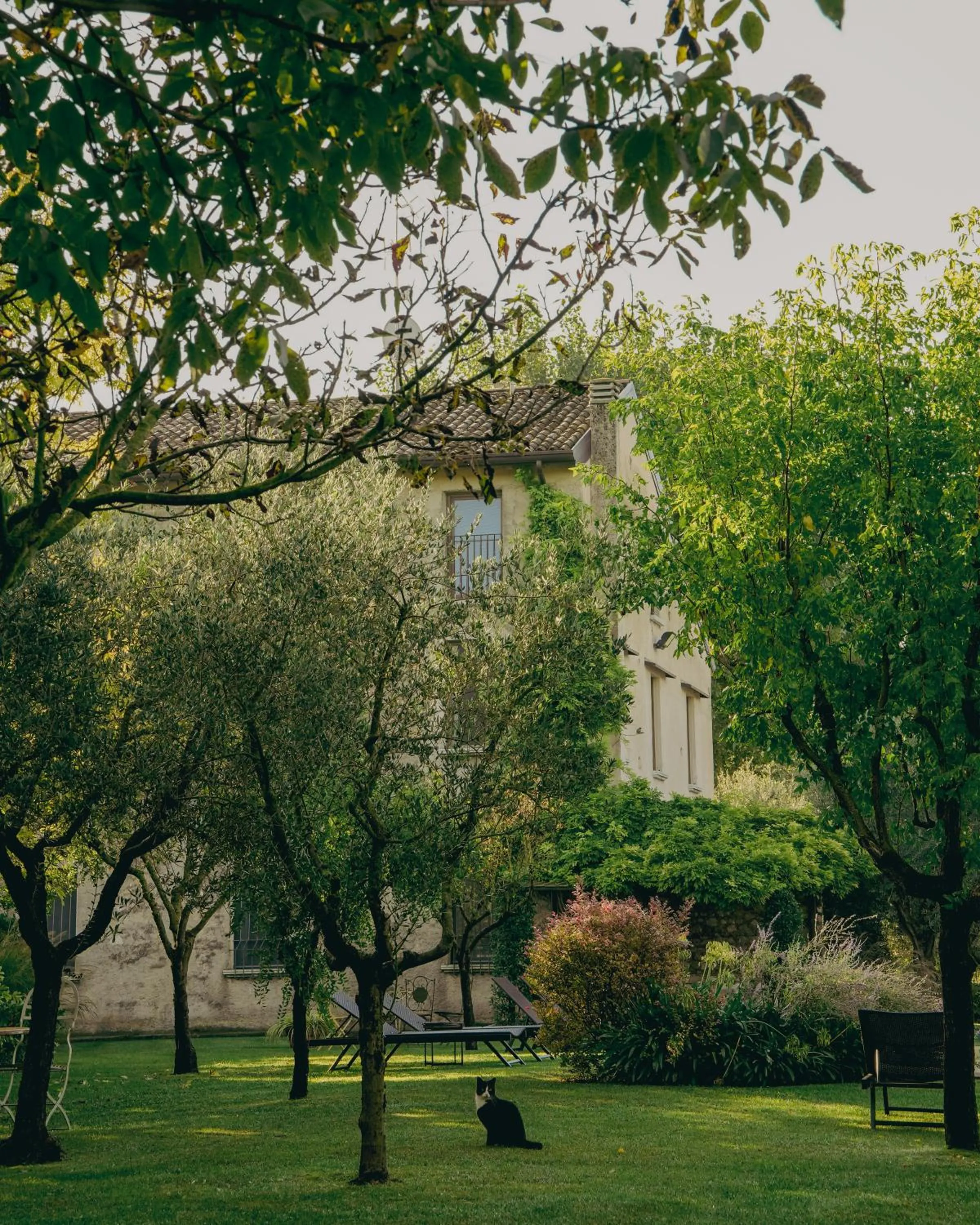Natural landscape in Corte Vallio