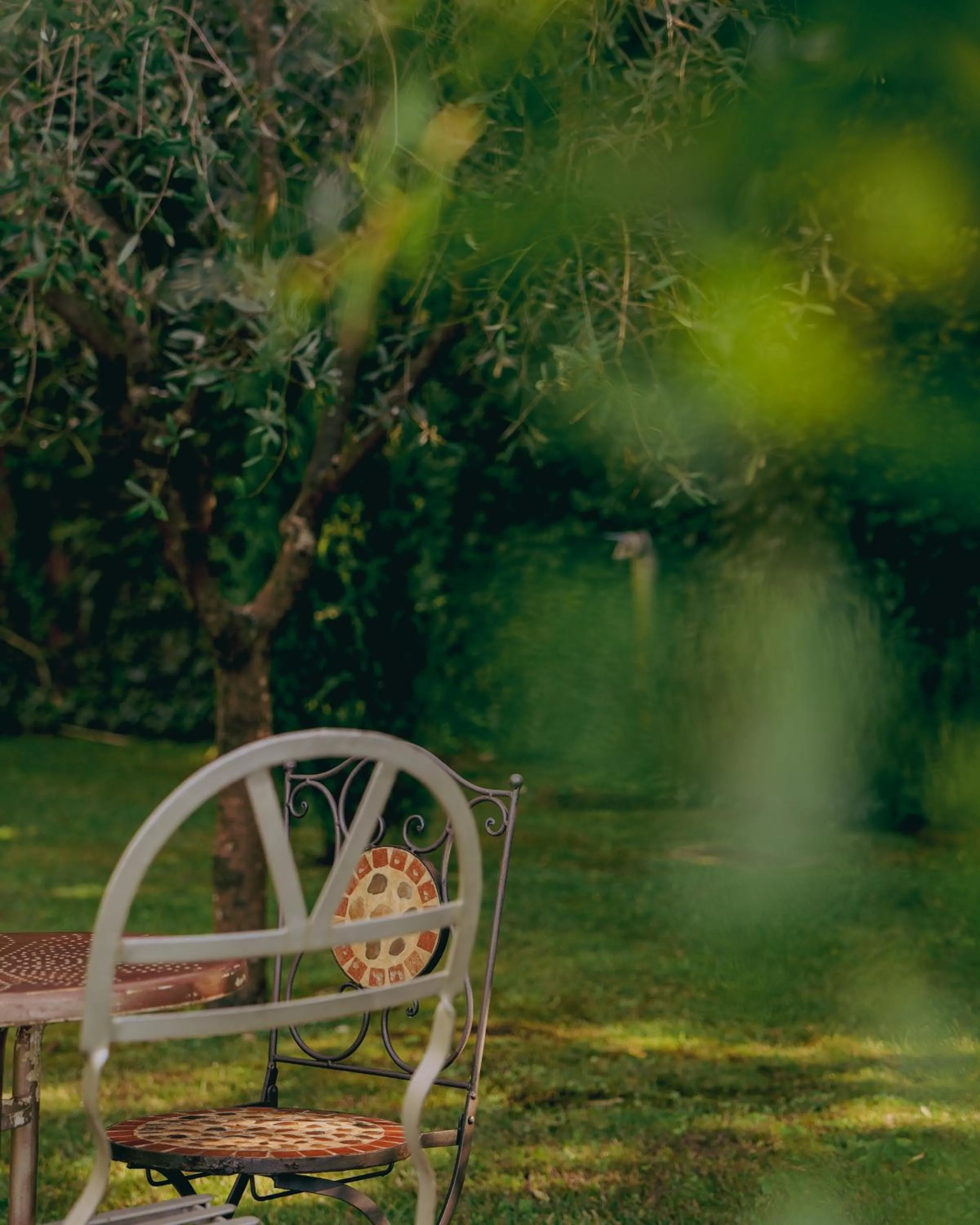 Natural landscape in Corte Vallio