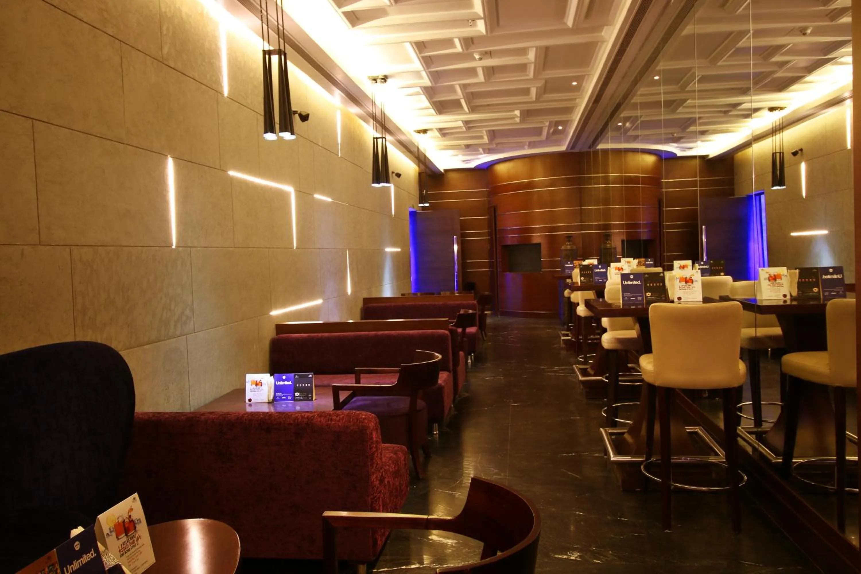 Meals in Sayaji Raipur