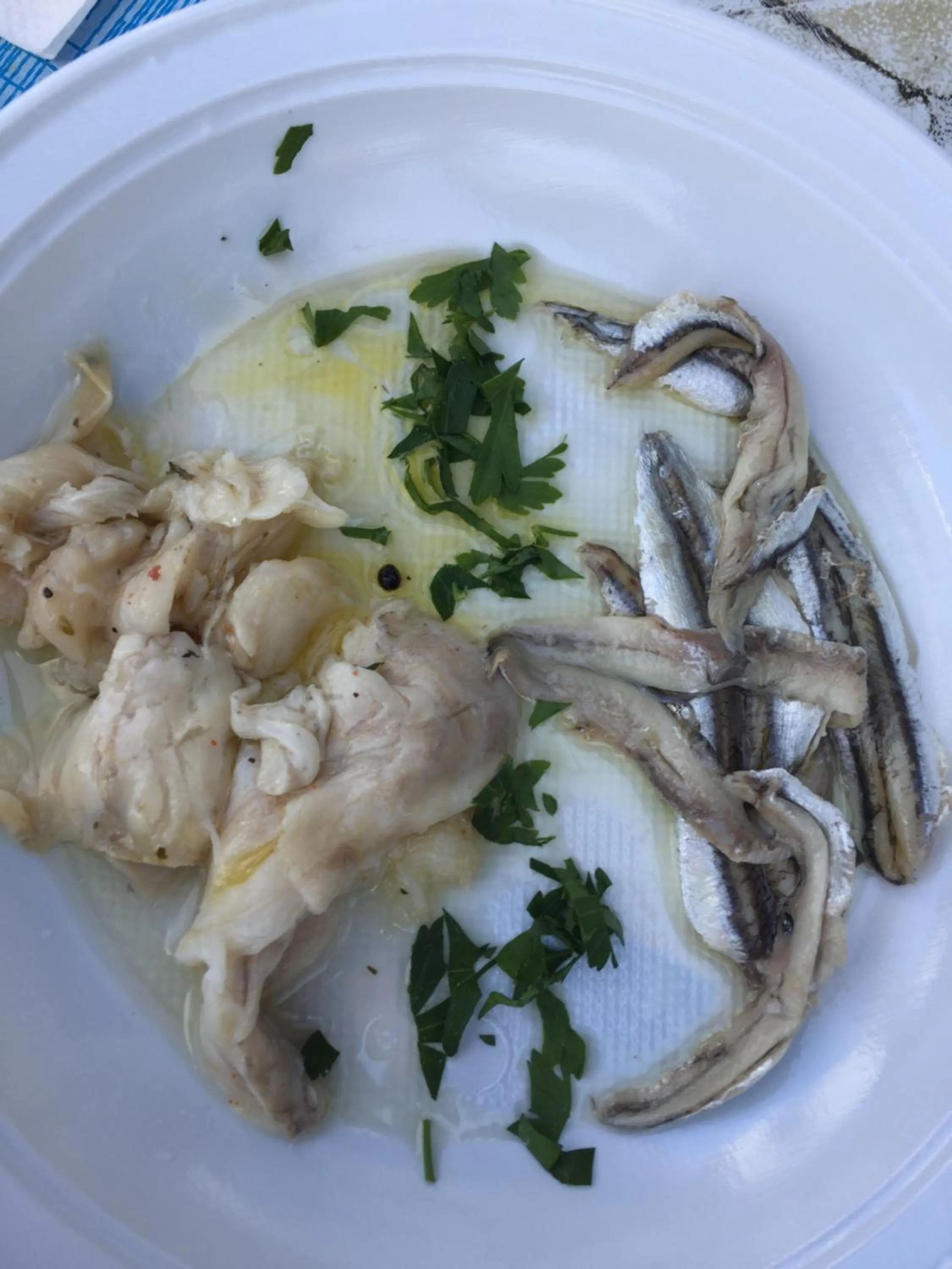 Restaurant/places to eat in Salieri Apartment