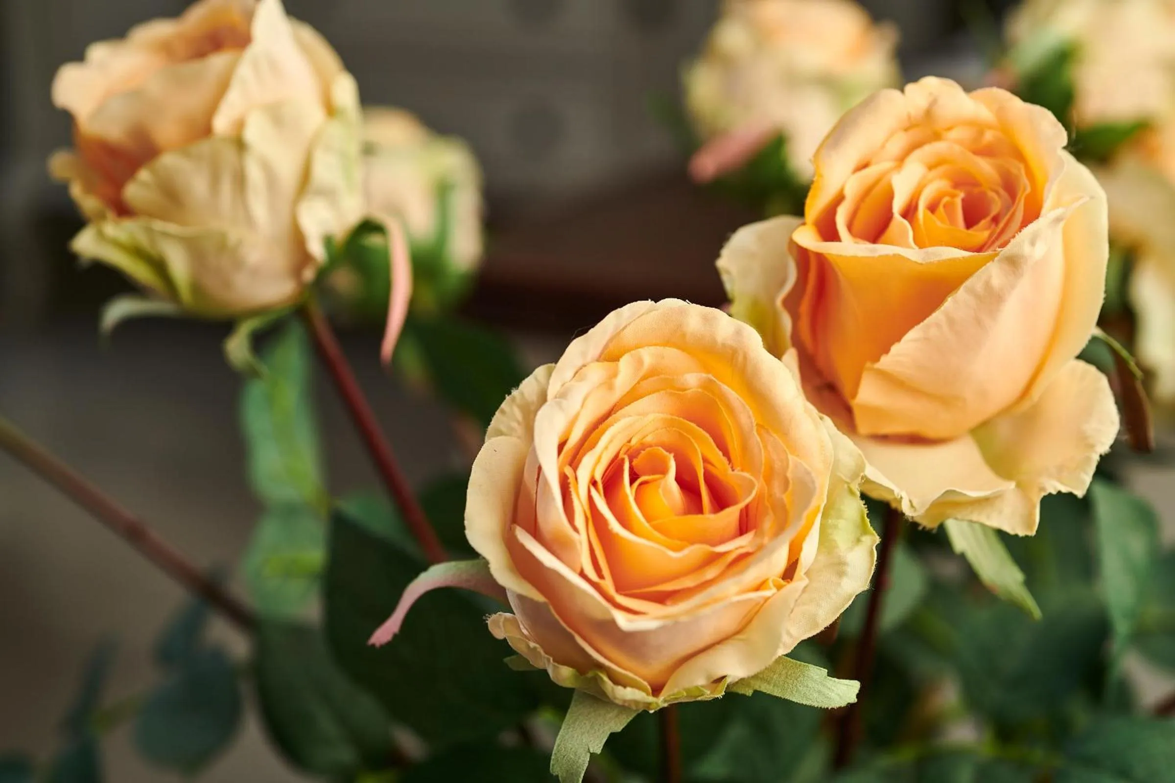 Decorative detail in The Hamptons Guest House