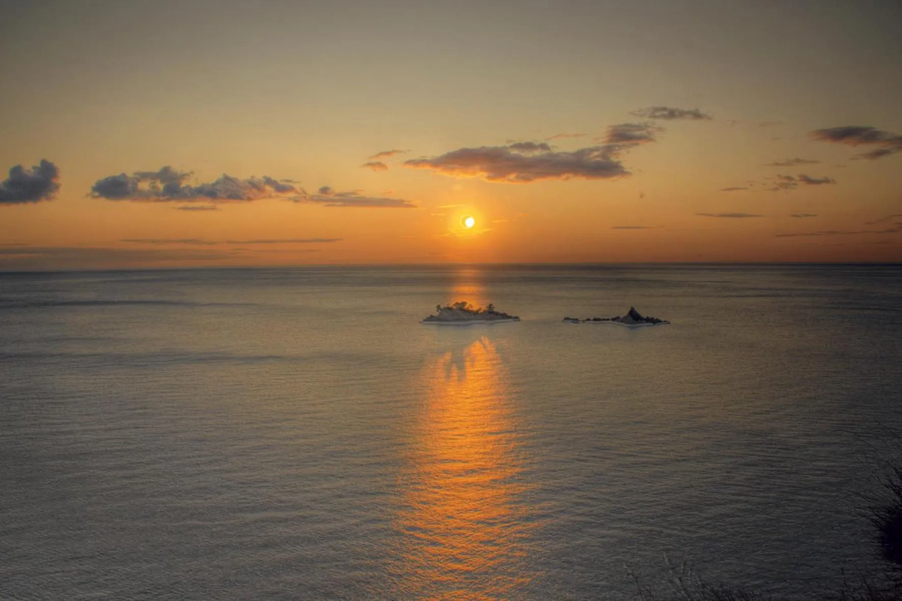 Natural landscape in Hotel Eleven