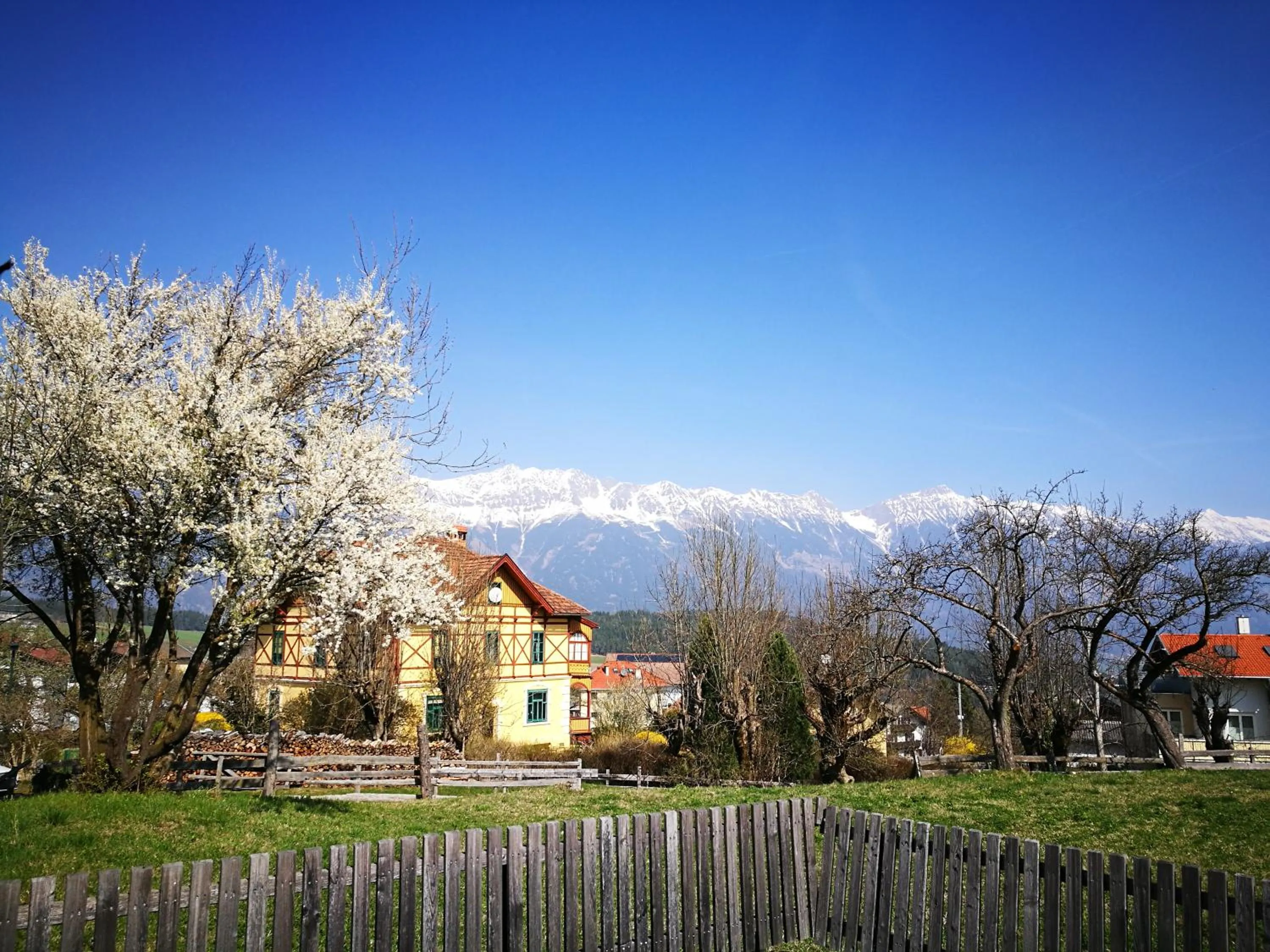 Mountain view in Gasthof Stauder