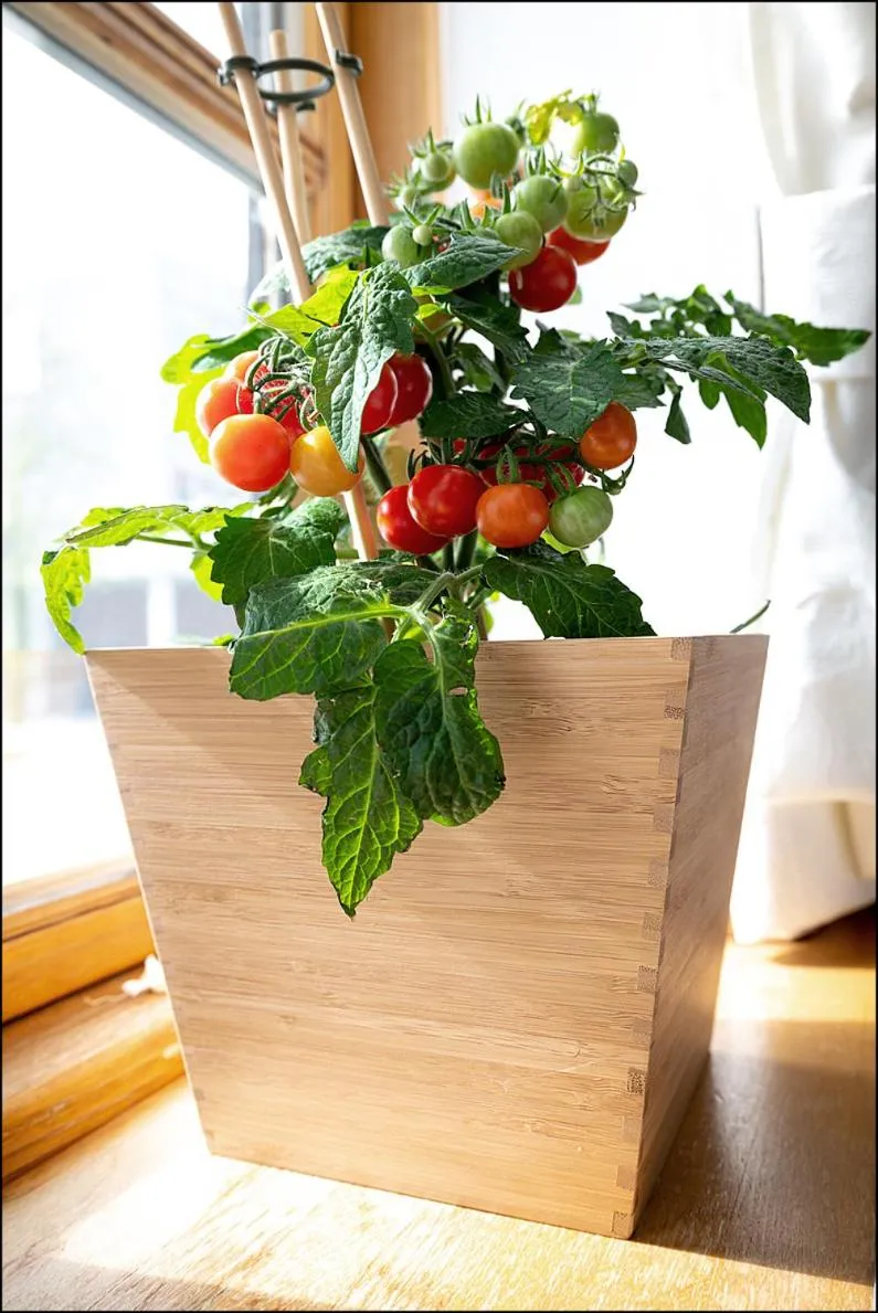 MARKT EINS Gästezimmer